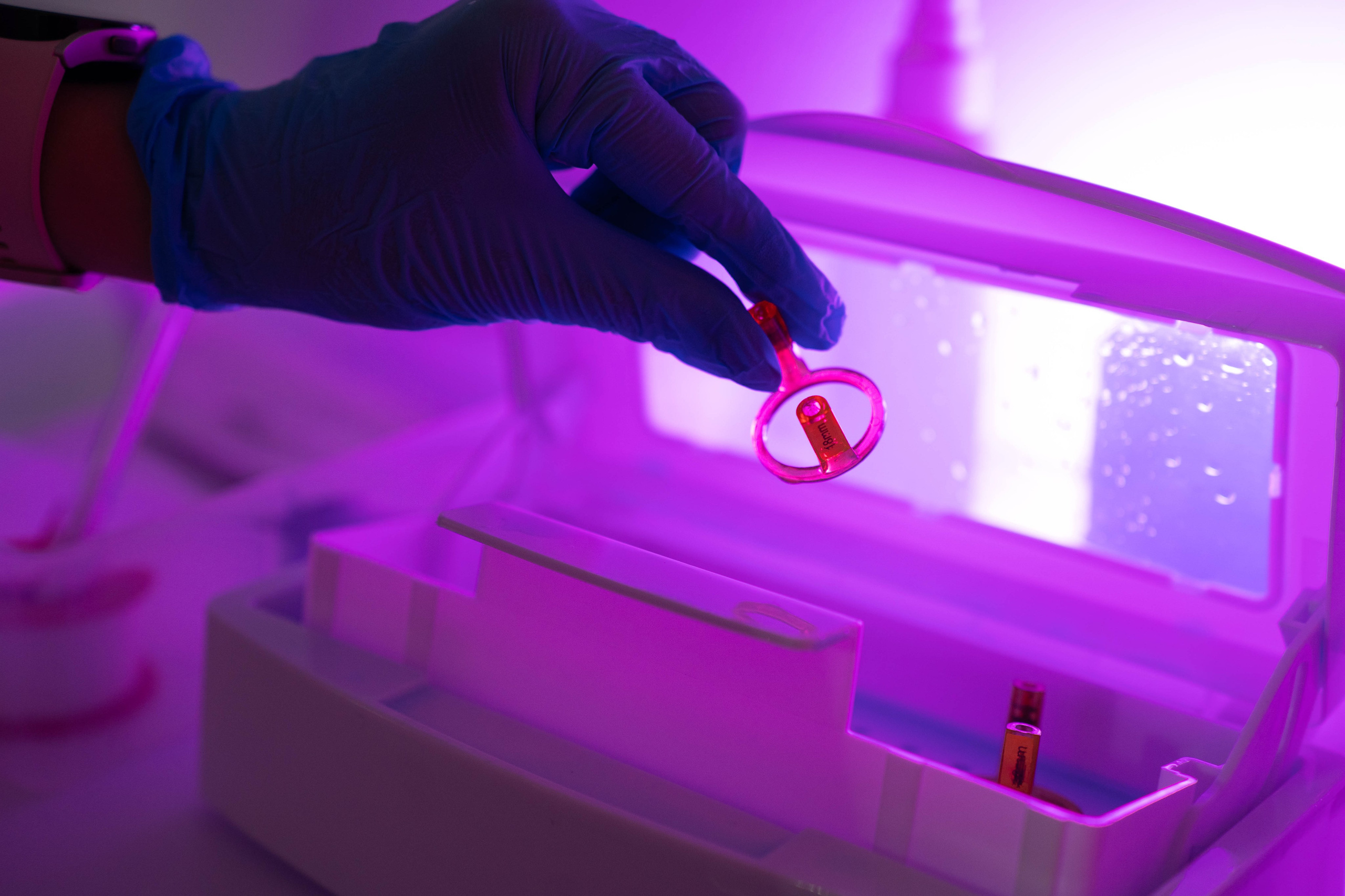 ALEXSANDRIT STUDIO. Фотограф Абакумова Анастасия