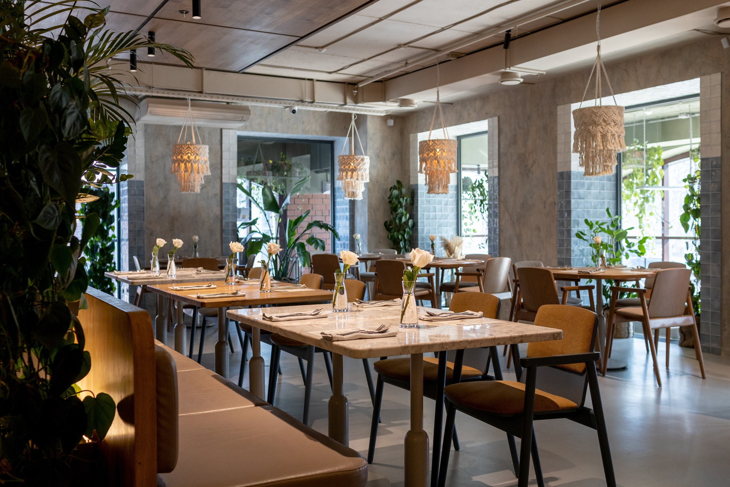 cheesy архангельск ресторан