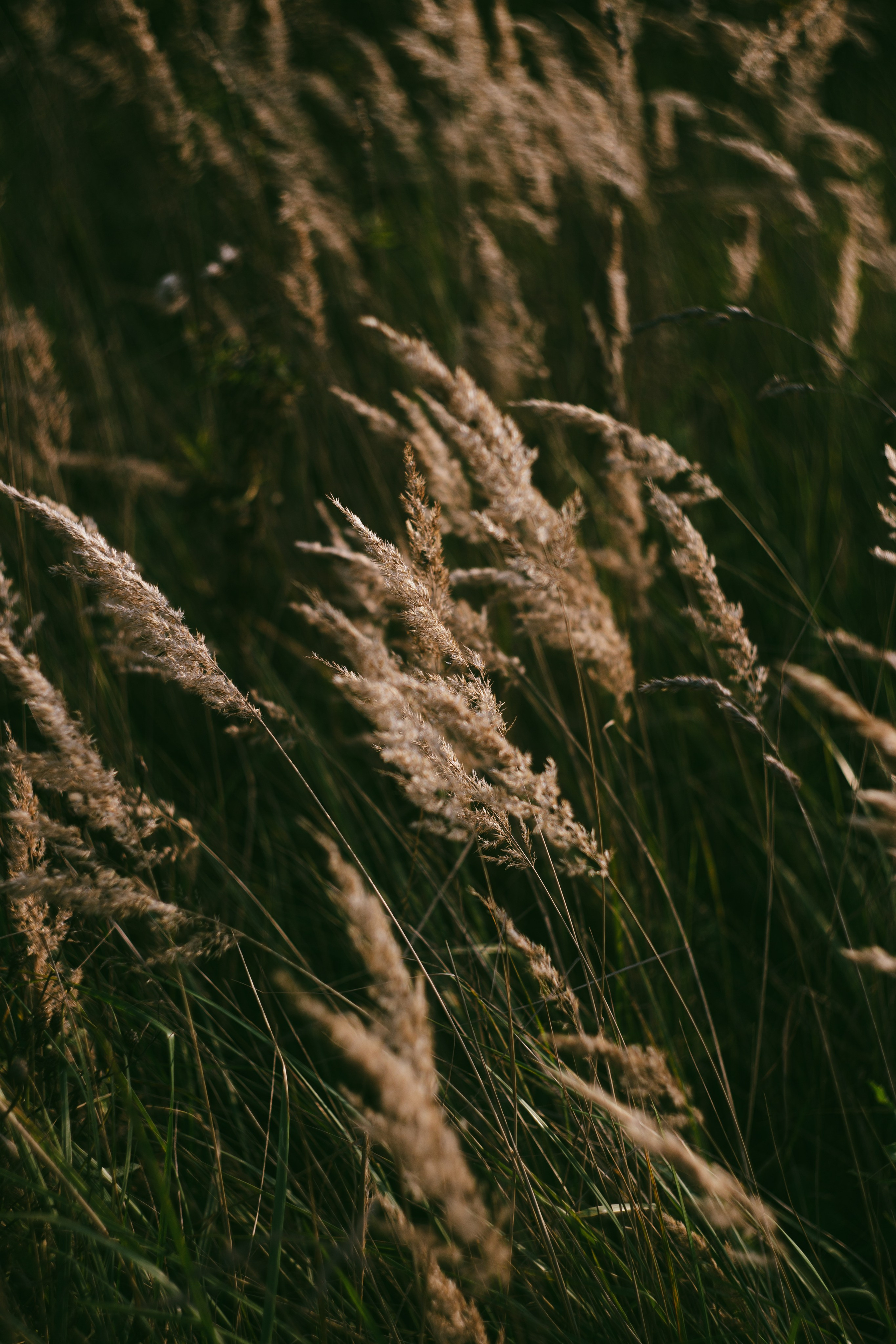 Сентябрь 2023. Efremovaphoto.ru