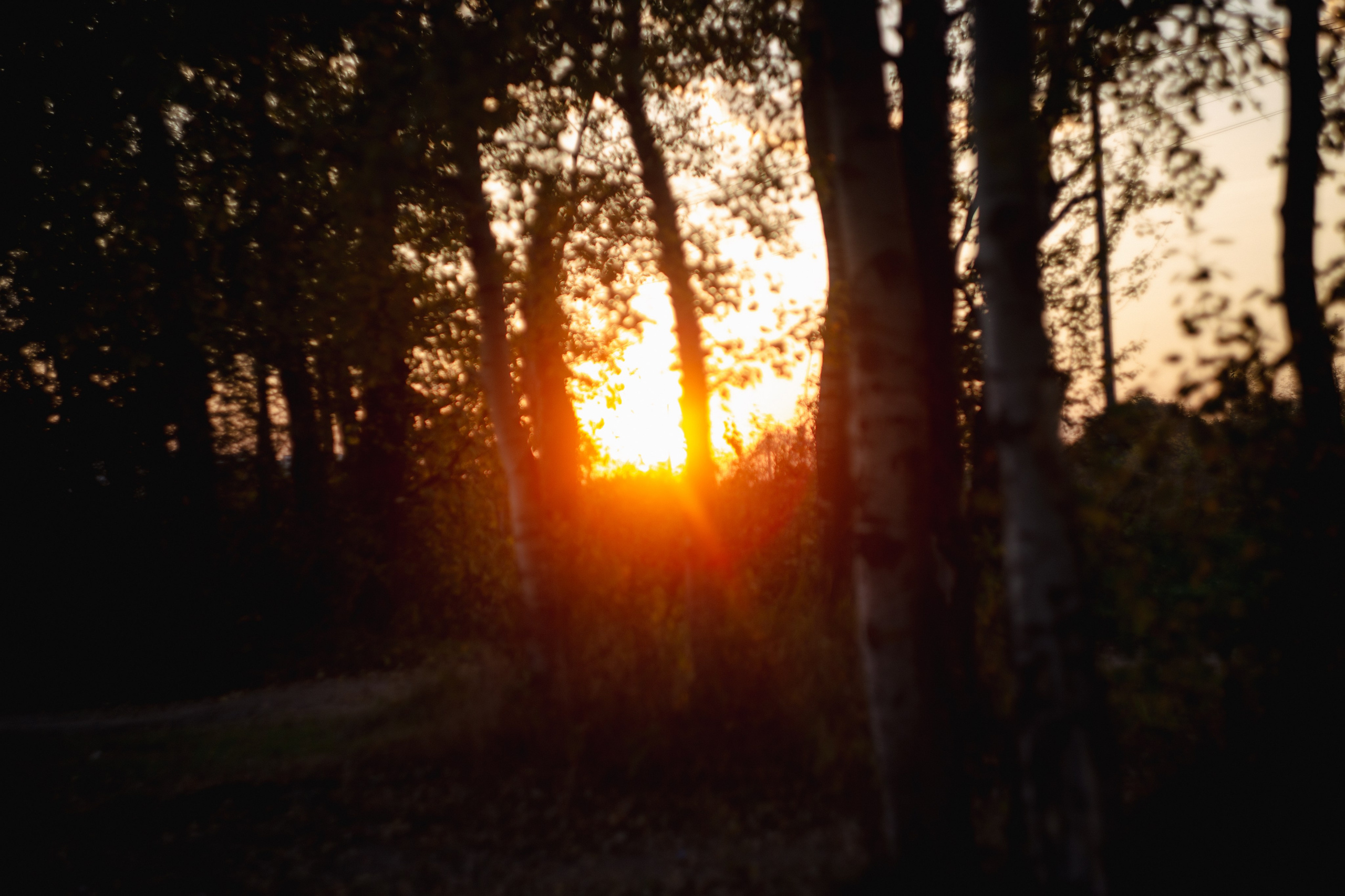 Сентябрь 2023. Efremovaphoto.ru