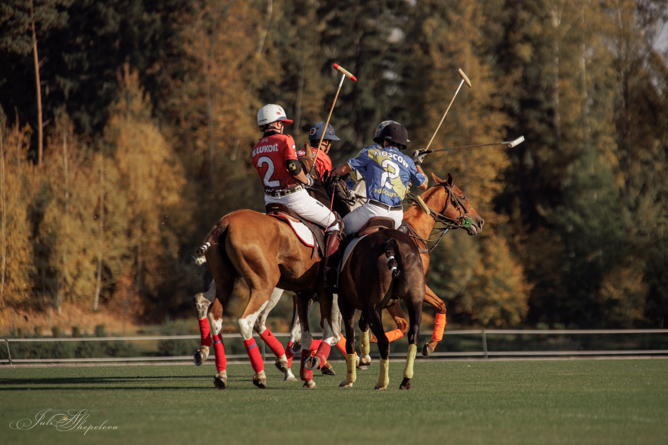 Осенний кубок по конному поло. Детская Конная фотография в Москве Юлия Шепелева