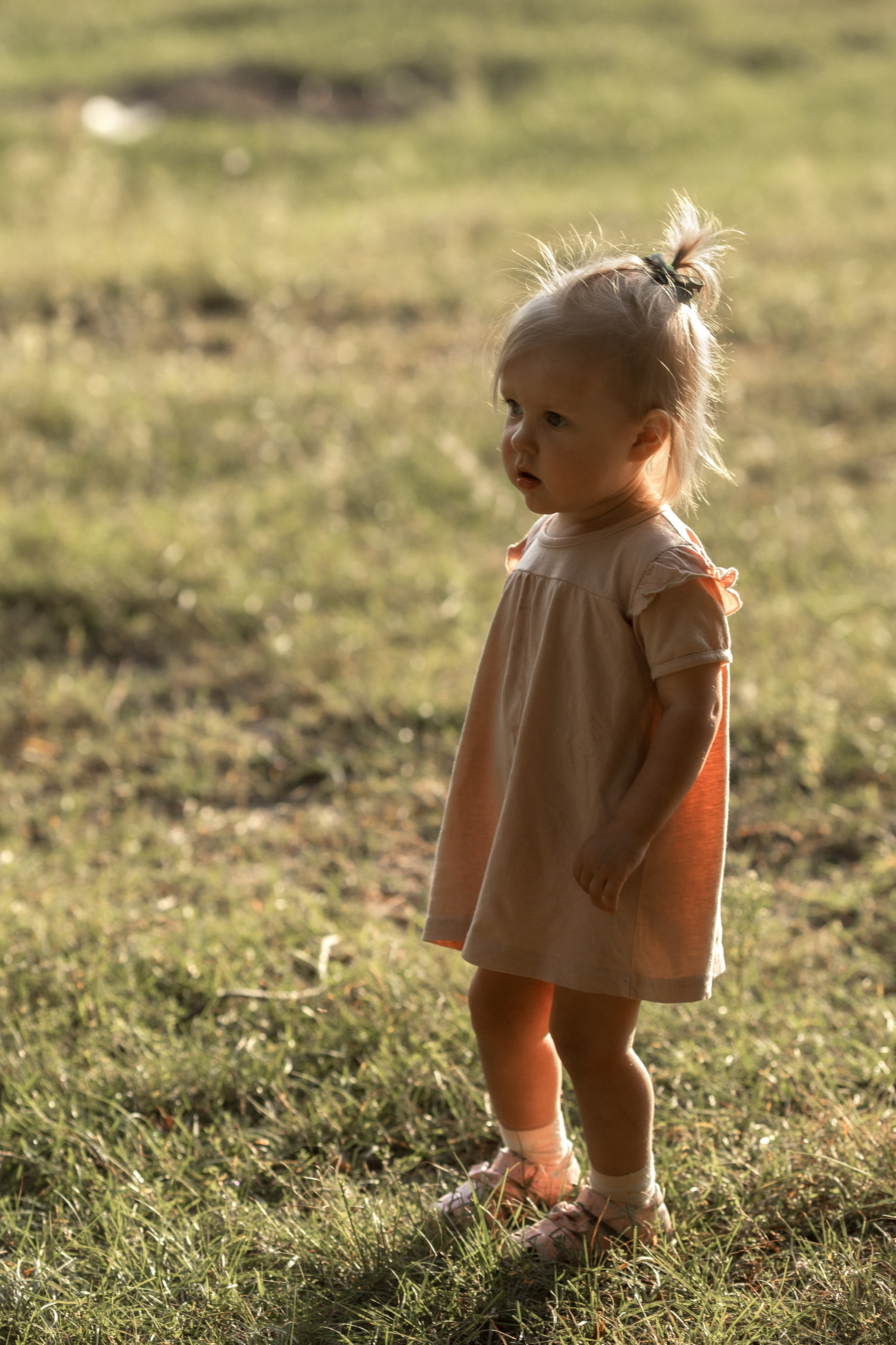 Семья Повтаревых. Семейный фотограф Вита Лифанова Брянск LifeStyle