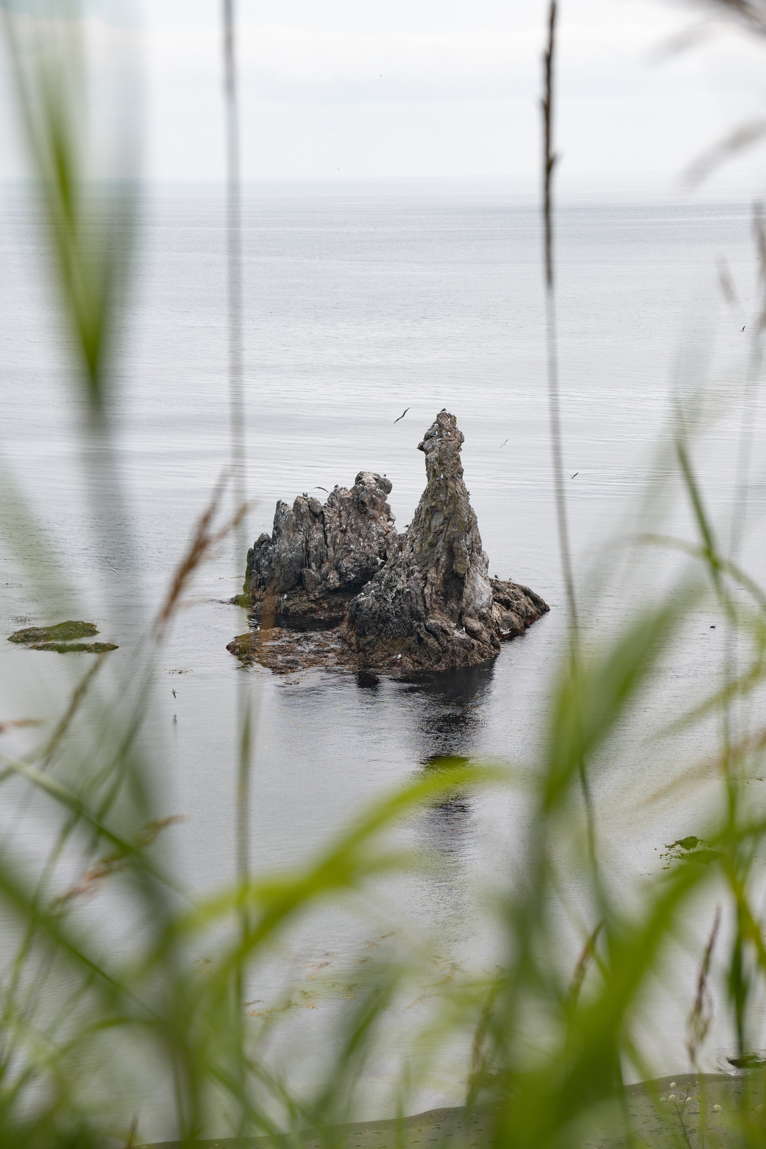 Сахалин. Gusarov Travel Photography