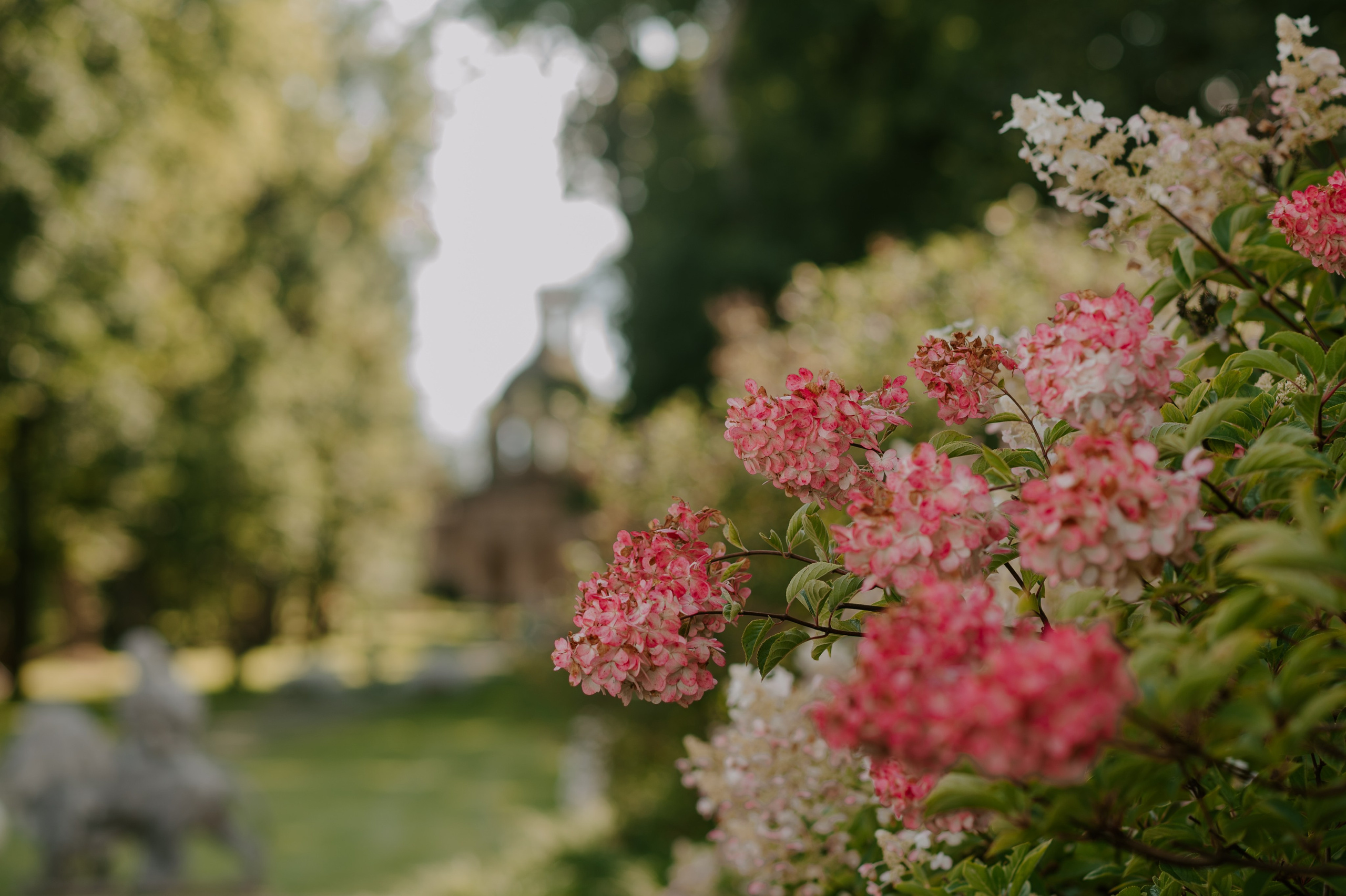 Кусочек Италии. Свадебный, репортажный и семейный фотограф в Москве Арина Зак