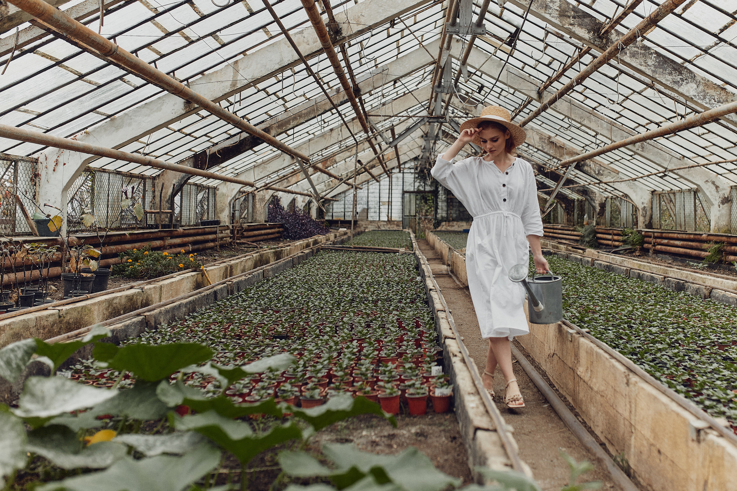 Старая оранжерея