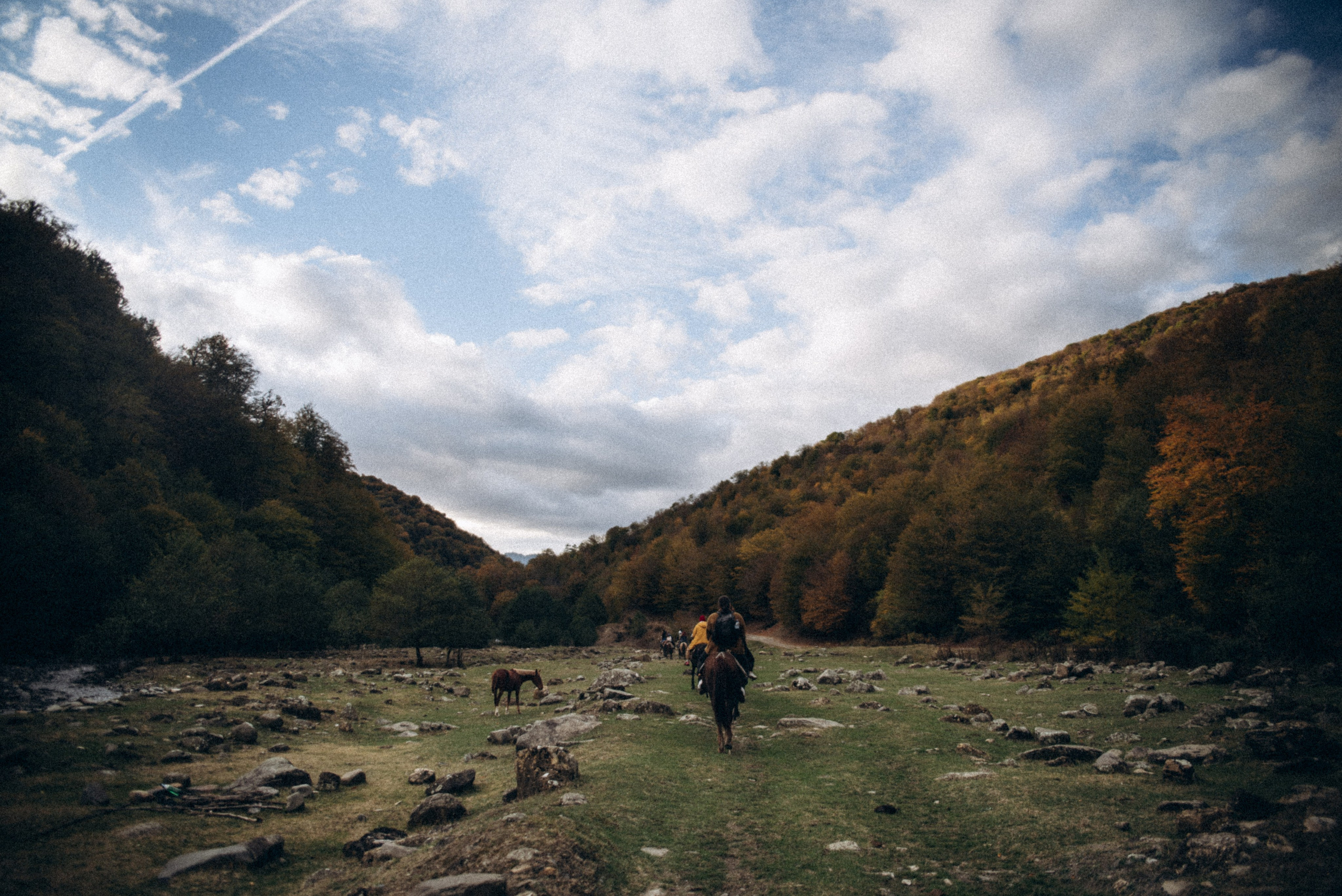 Конный поход 🇬🇪 «PVD Club». Anita_photo