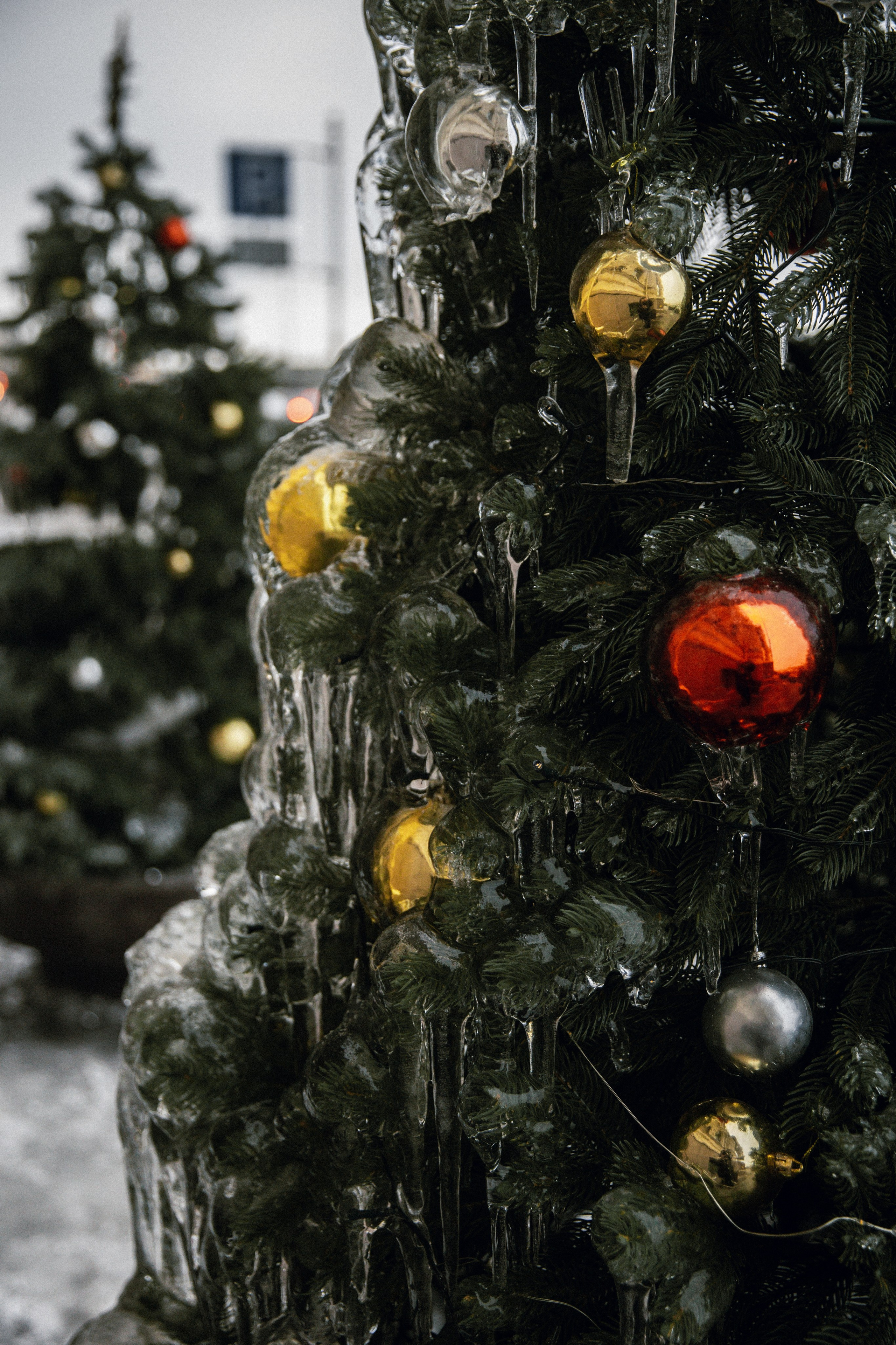 Jacob & Anastasia. Свадебный фотограф Юлия Шторм