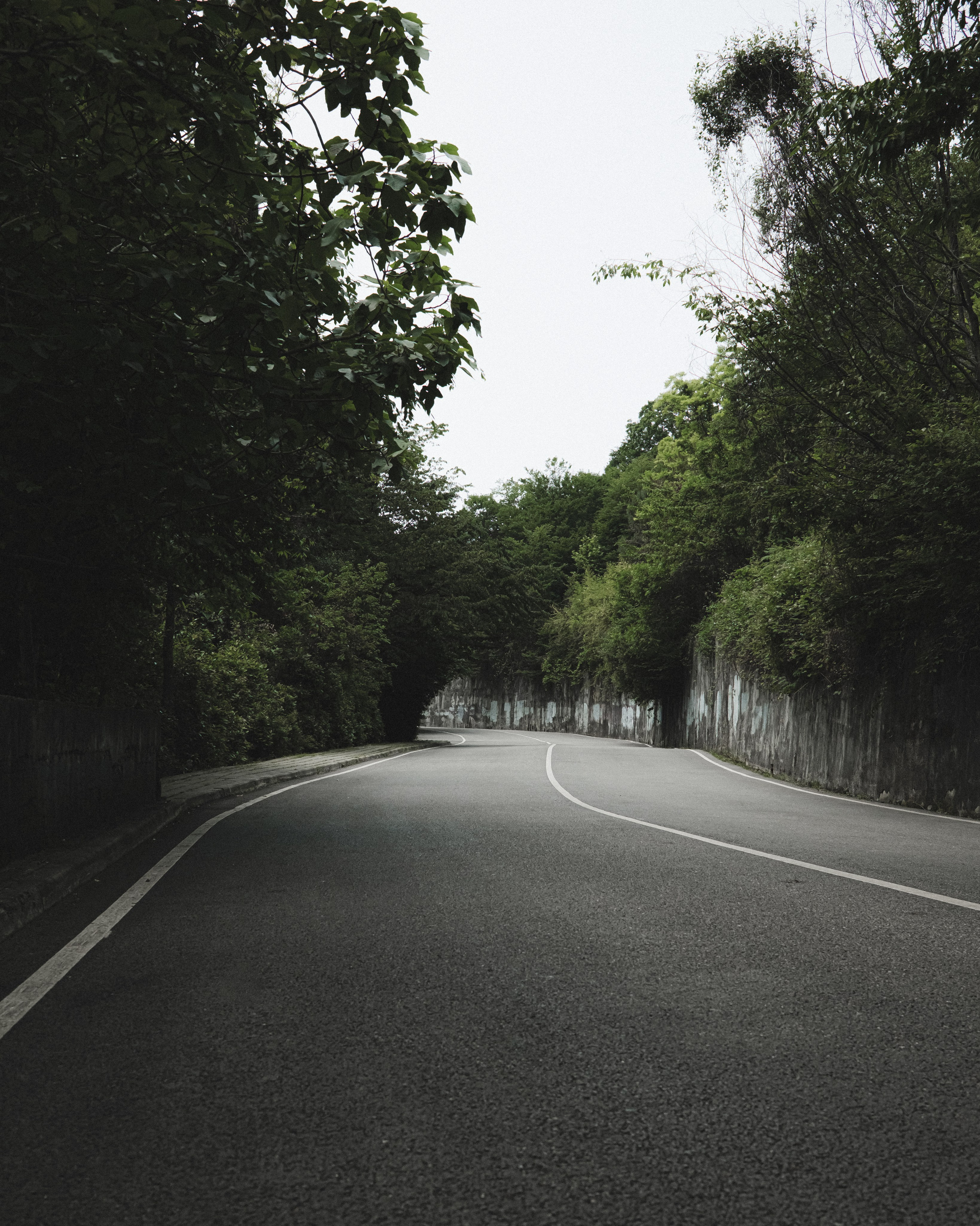 — КОНТАКТЫ. СЕРГЕЙ РОСАК | ФОТОГРАФ & ВИДЕОГРАФ • СОЧИ