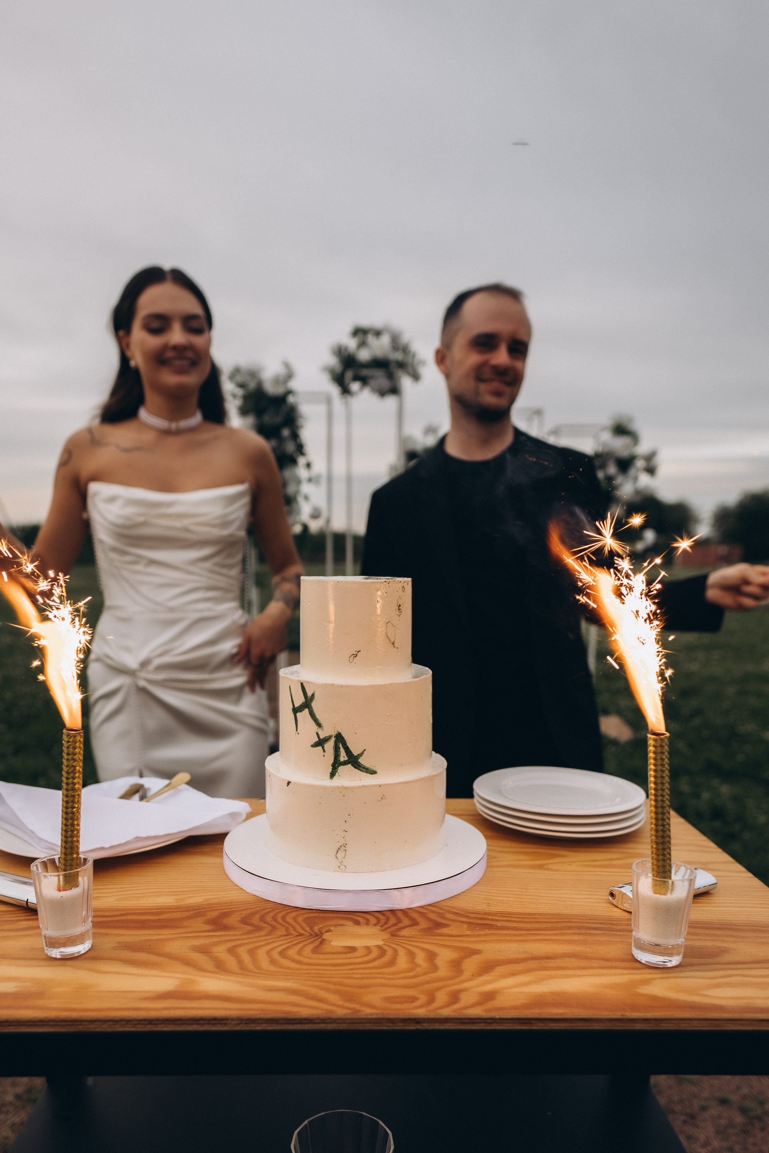 Выездная регистрация+банкет. Фотограф ПИТЕР СПБ Надежда Баранова