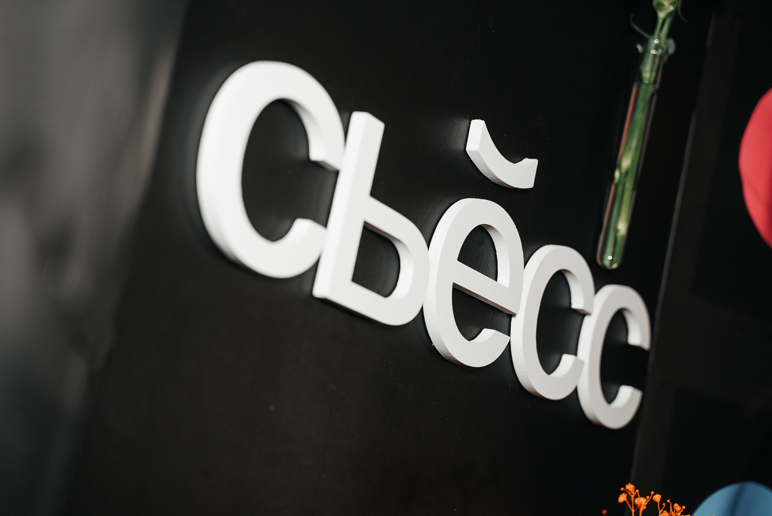 Сьесс. Павел Краснов — Свадебный и репортажный фотограф в Москве