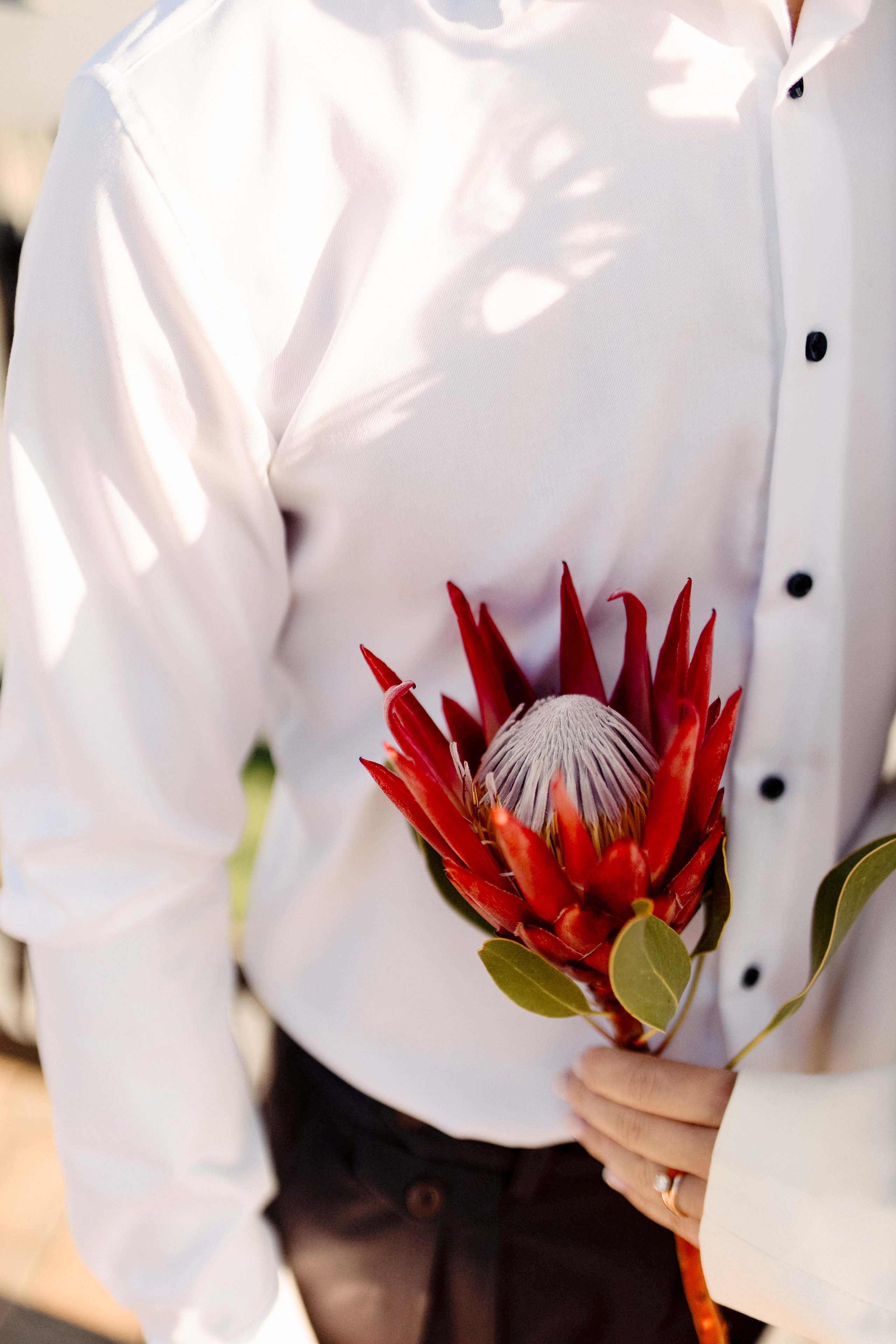 Анастасия и Леонид. Фотограф в Москве и области Савина Антонина