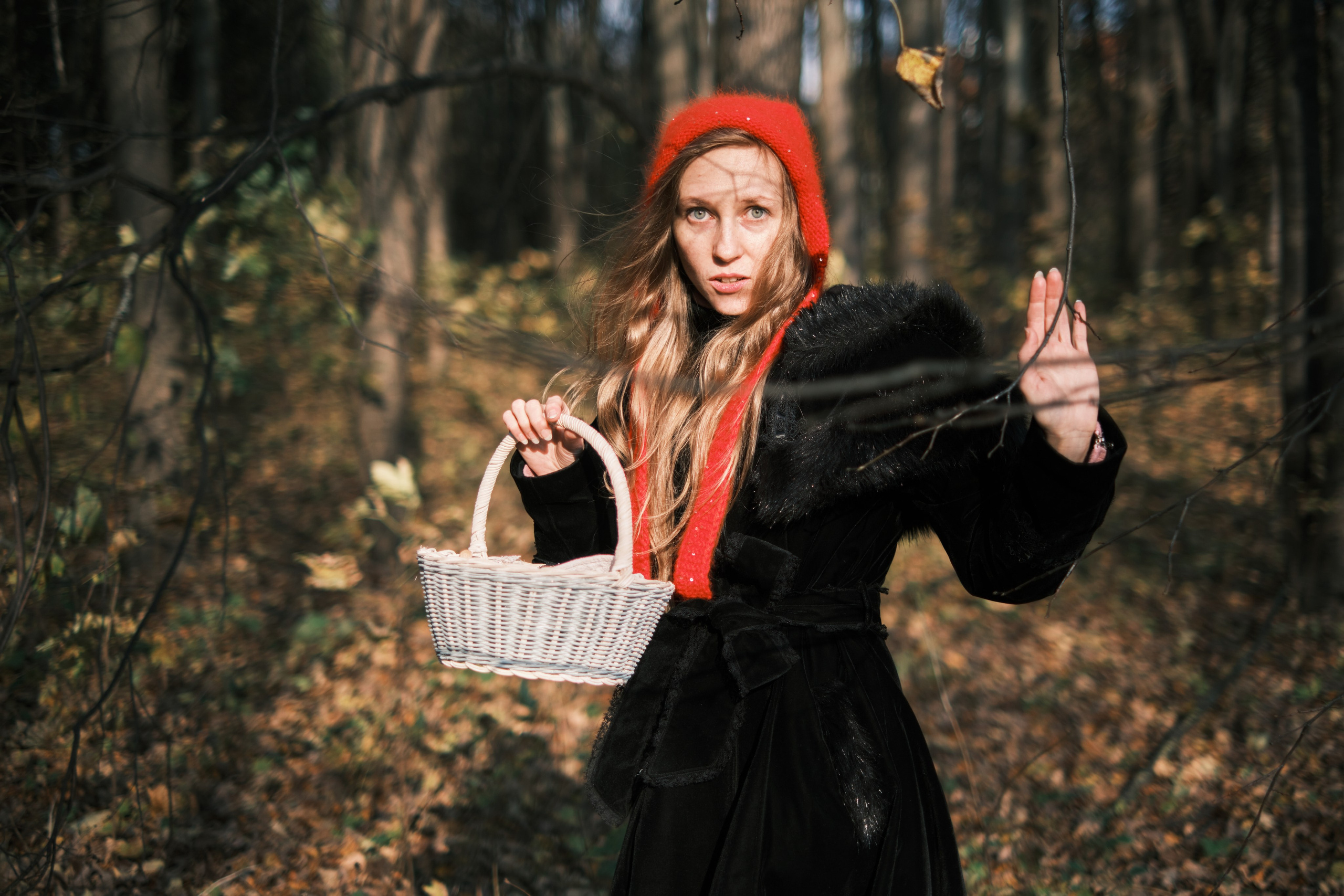 Красная Шапочка пробирается сквозь лес