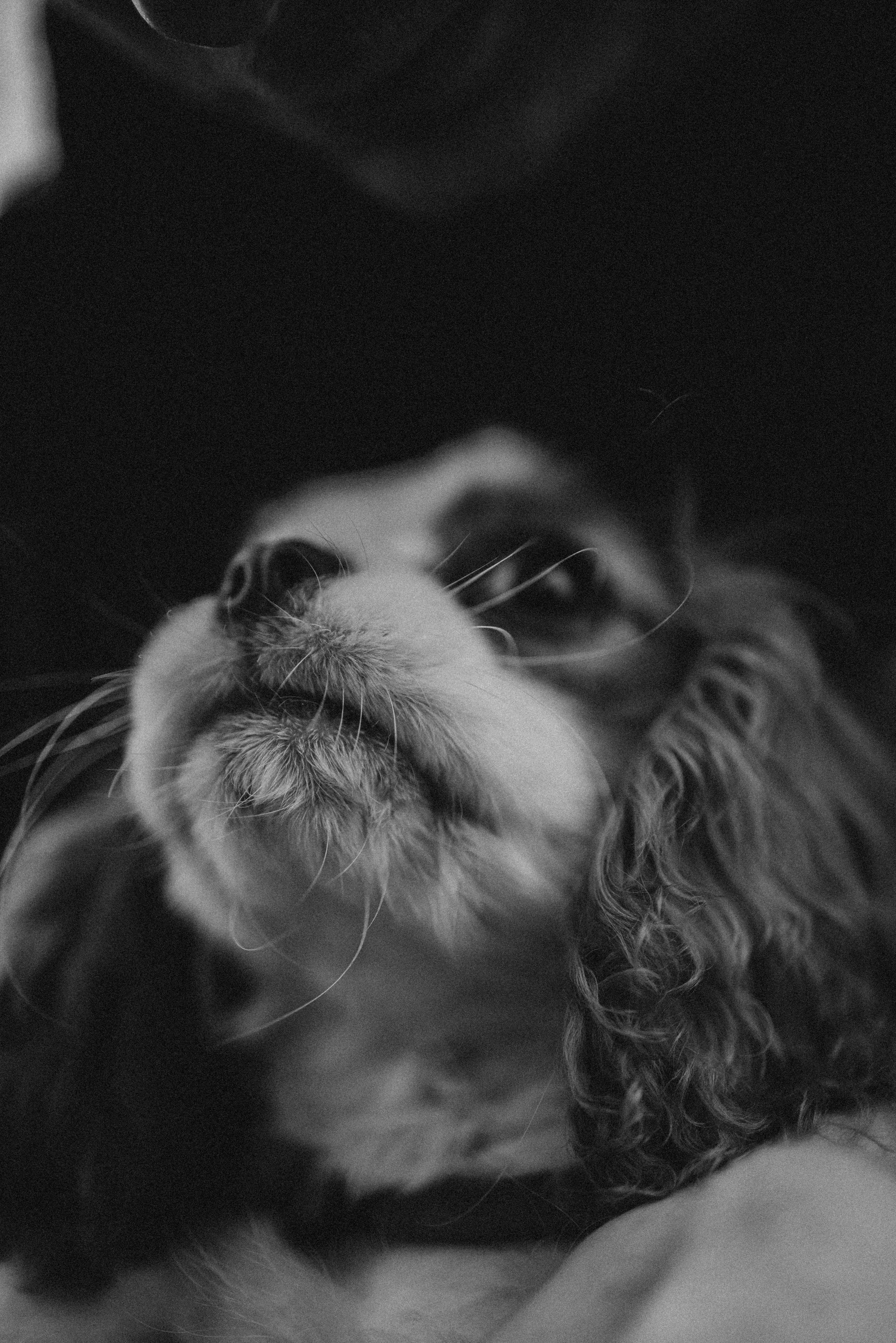 Юля и Кипр. Фотограф-анималист в Москве Лера Черноног