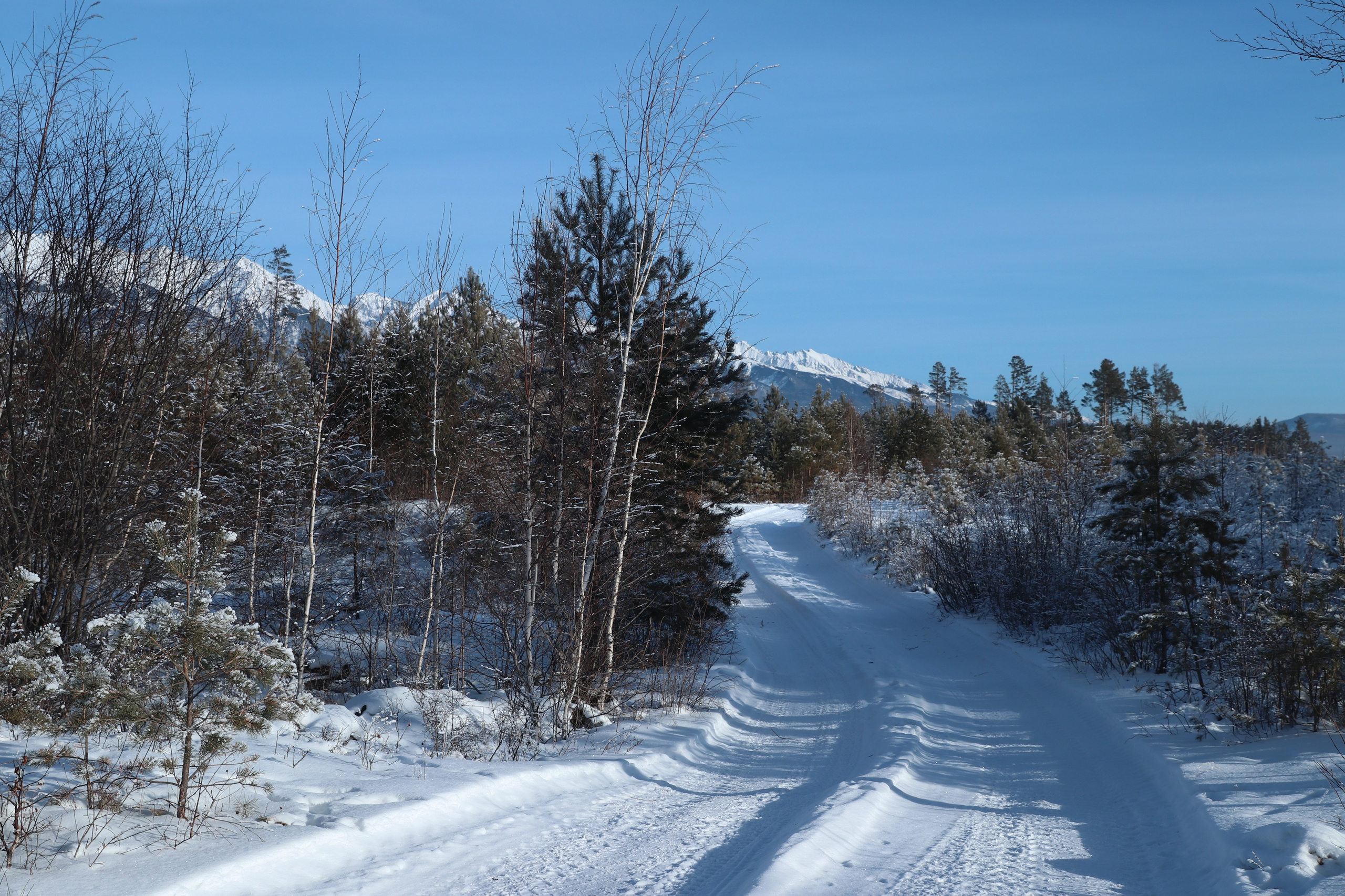 Аршан. Январь 2024. Путешественник-фотограф из Санкт-Петербурга Татьяна Свистулина