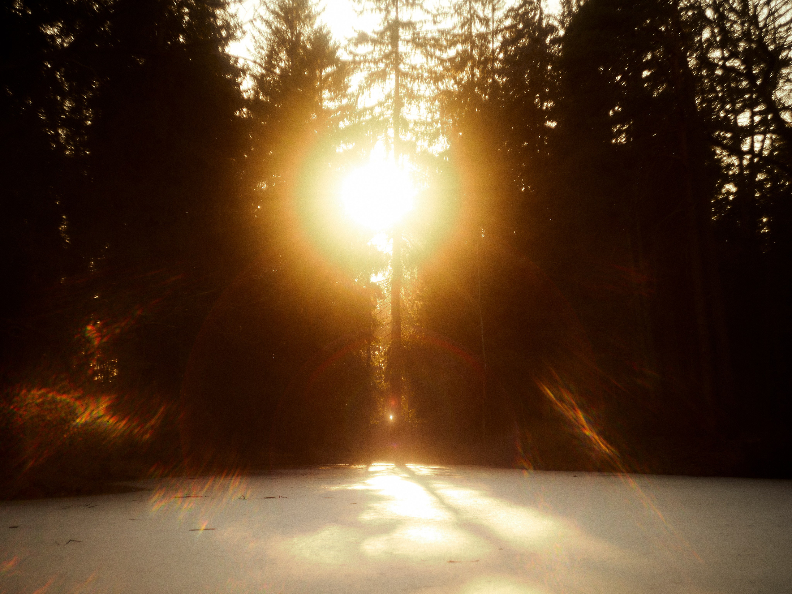 Street. Портретный фотограф в Москве
