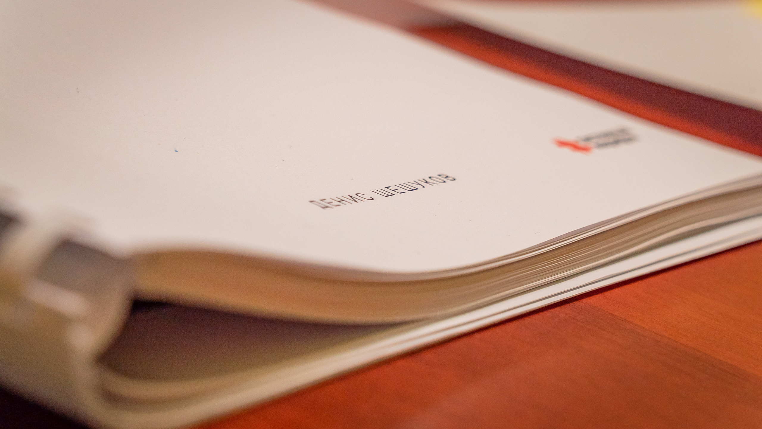 Бизнес тренинг Дениса Шешукова