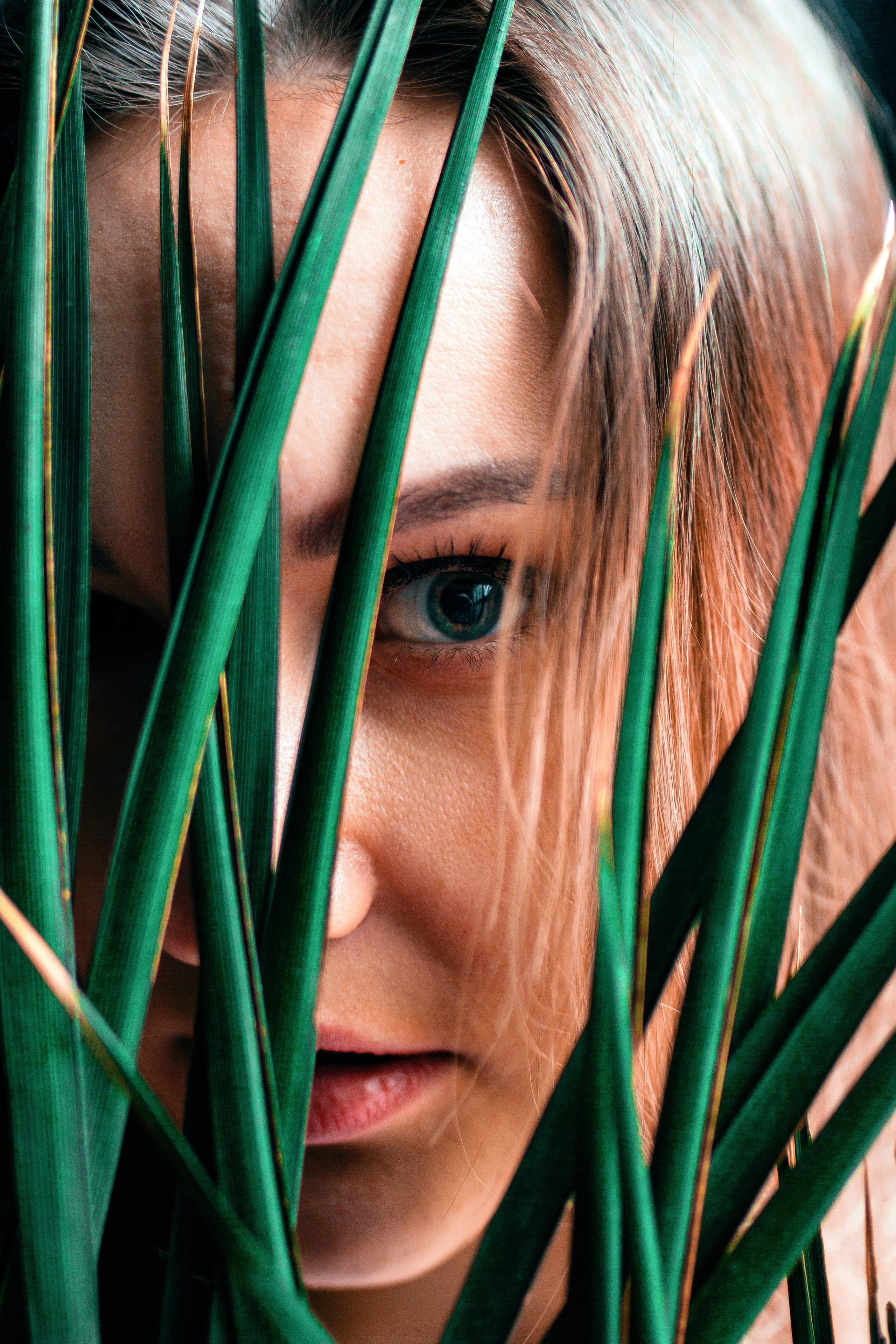 Лика студия