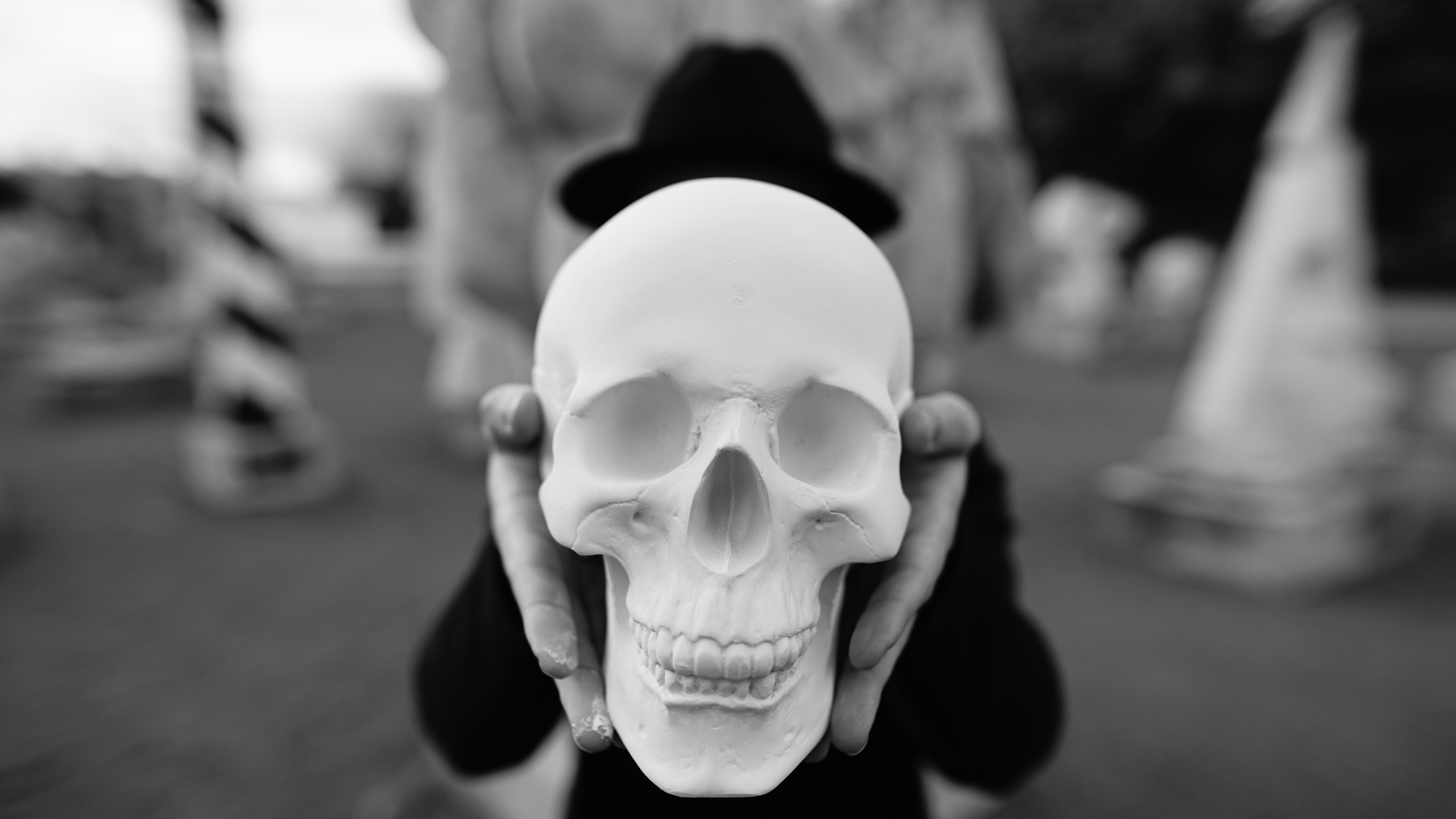 Дема музеон