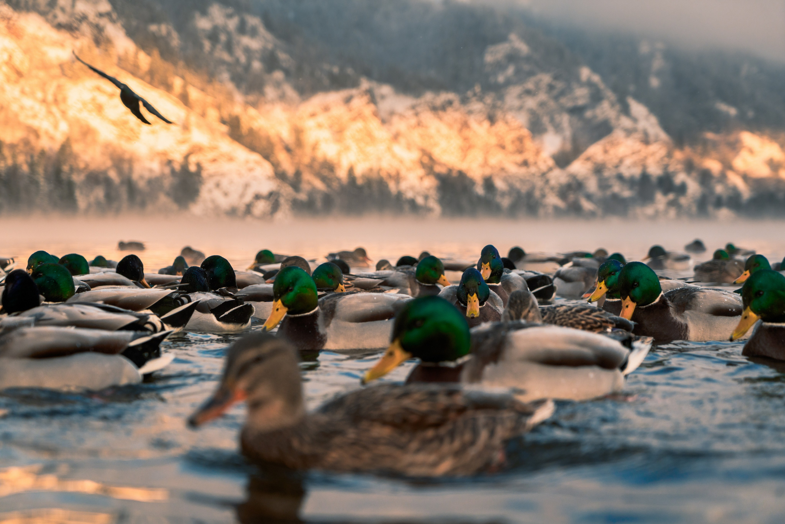 Красноярск и Дивногорск, Ноябрь 2023