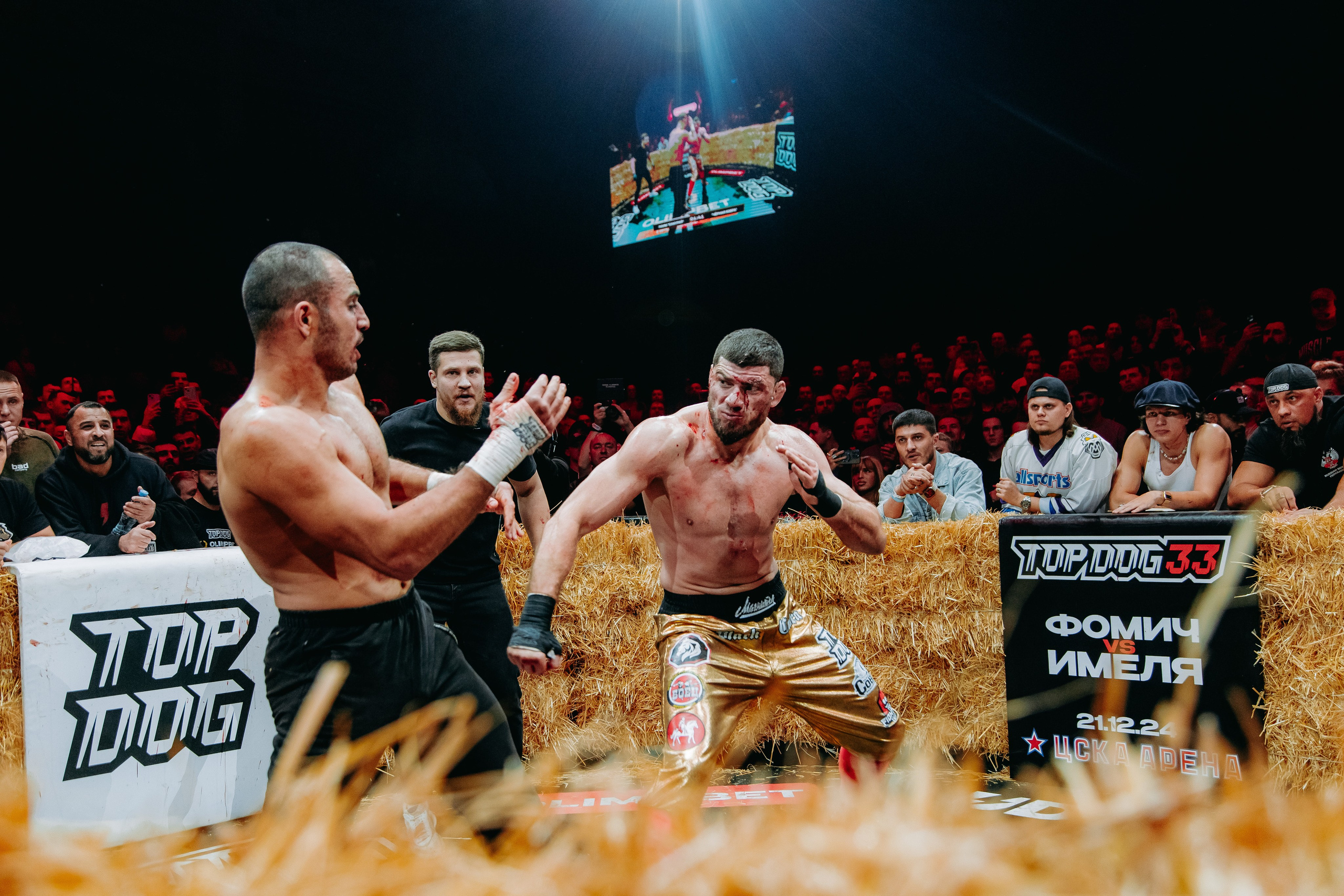 TOPDOG — 32. Фотограф в Саратове Александр Кухаренко. И не только в Саратове :)