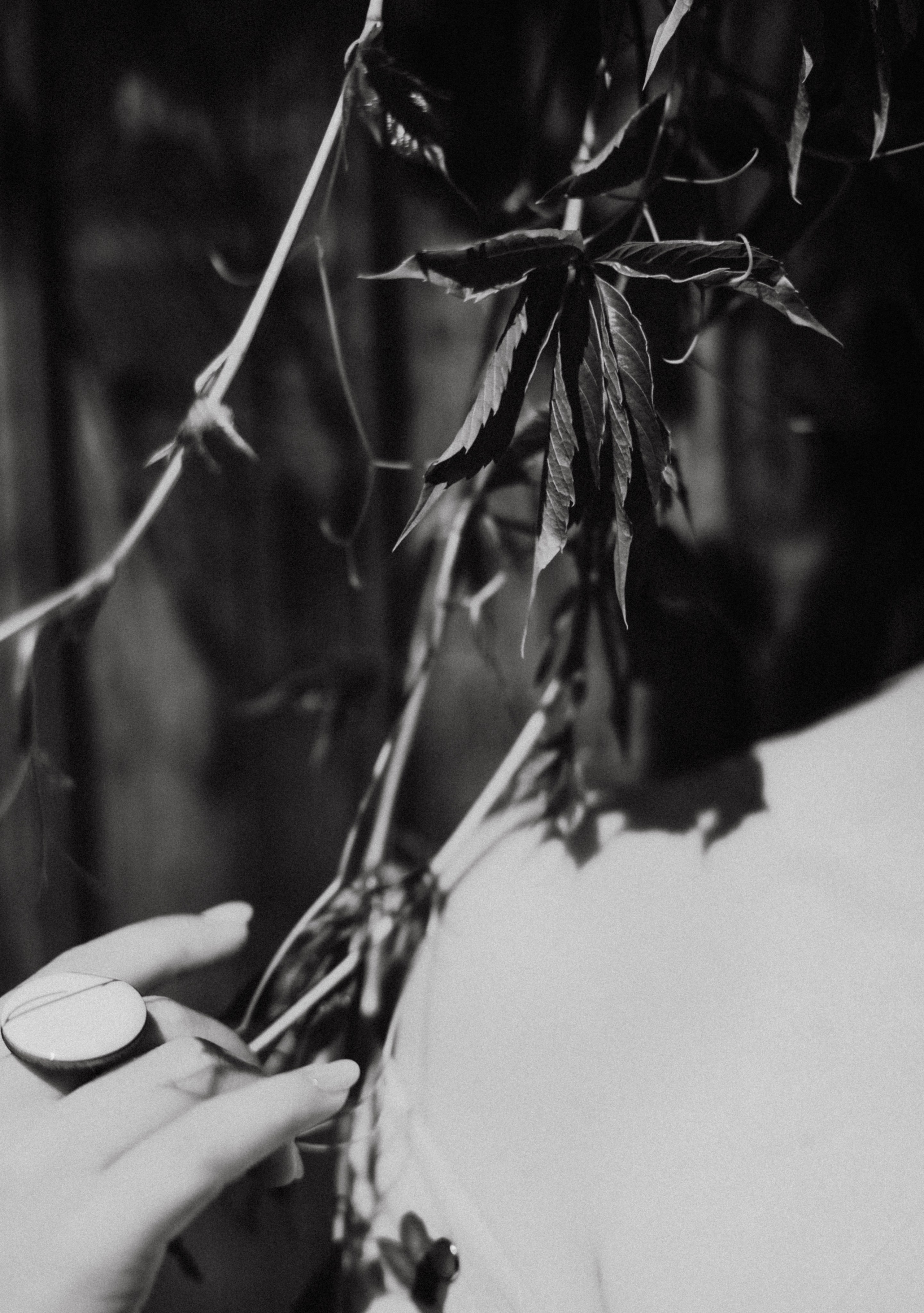 Настя Жаришка 24-го. Фотограф в Нижнем Новгороде