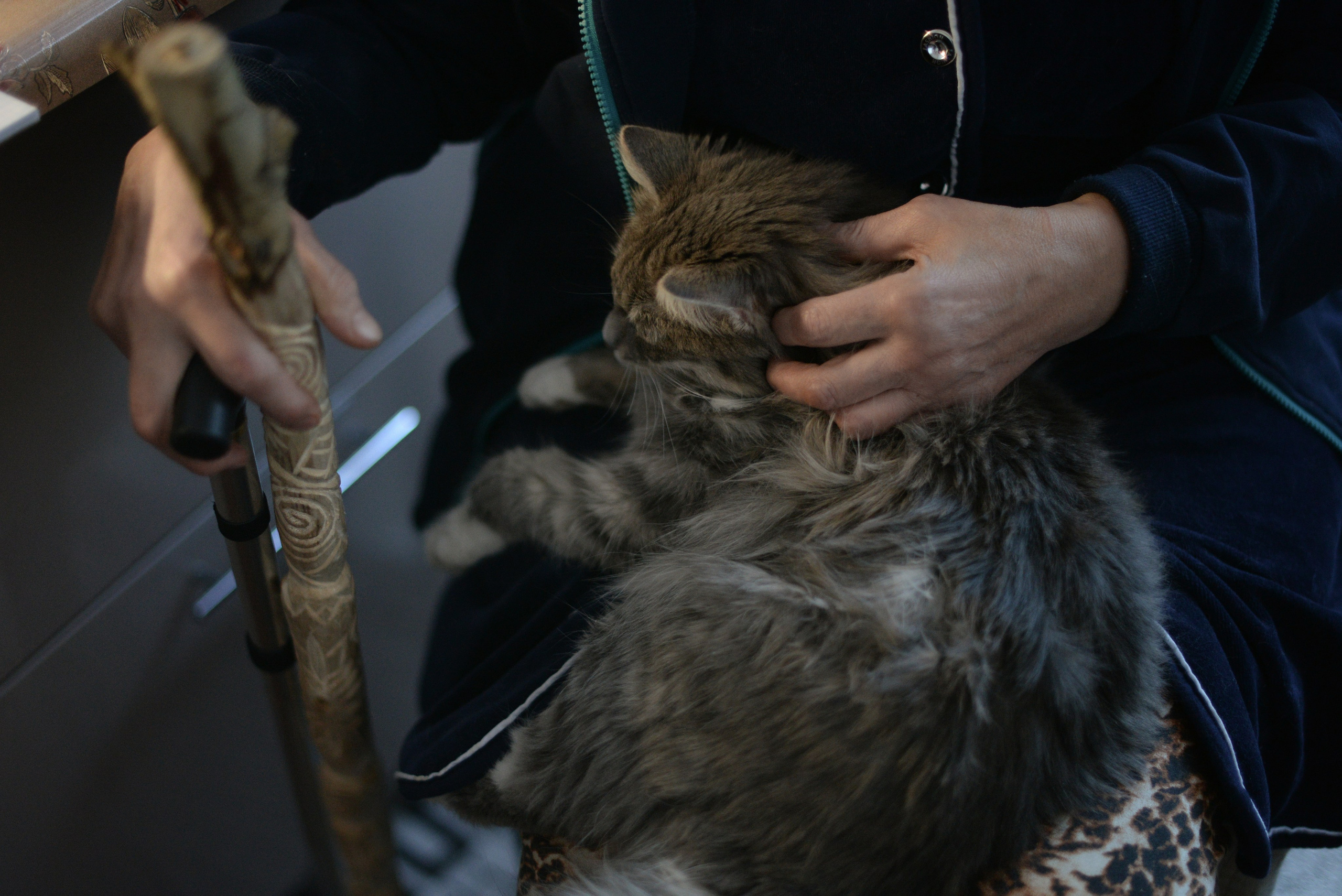 Фотожурналистика. Дарья Пянзина | фотограф |междисциплинарная художница