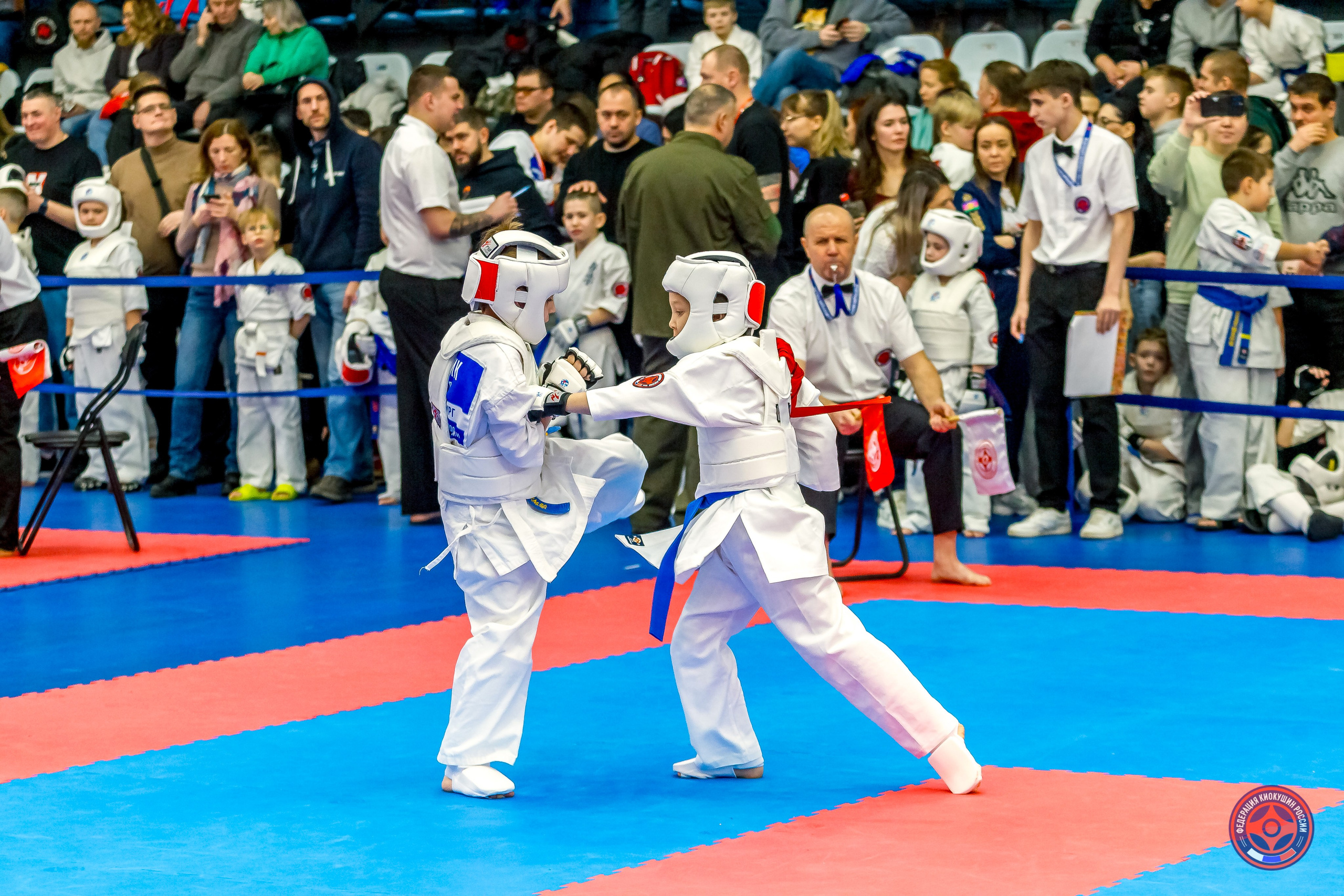 Международный турнир по киокушин «Открытый кубок Seiken». Репортажная съемка в Москве и области. Анималистика