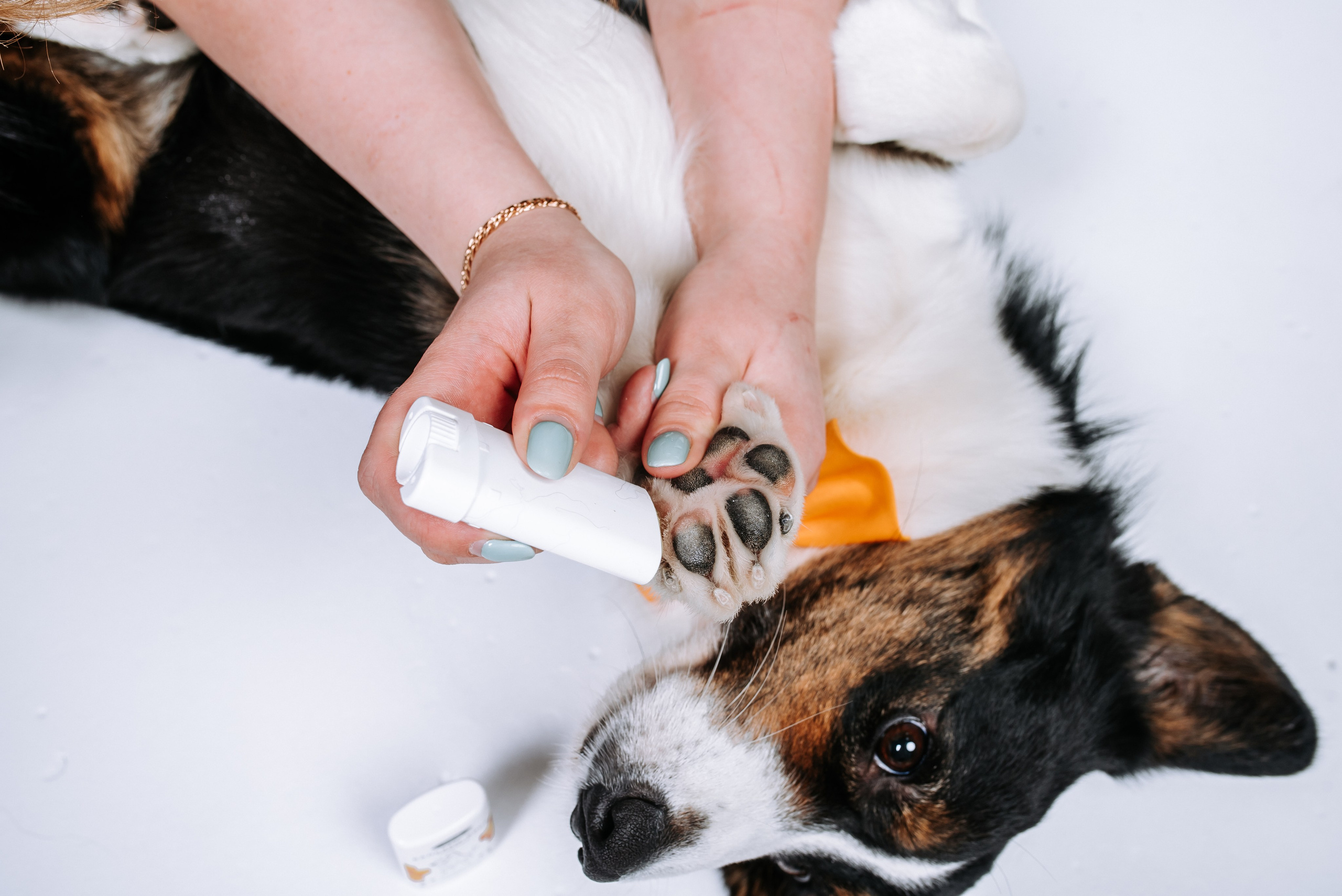 Контент-съемки. Фотограф Диана Оленина Красноярск / Братск