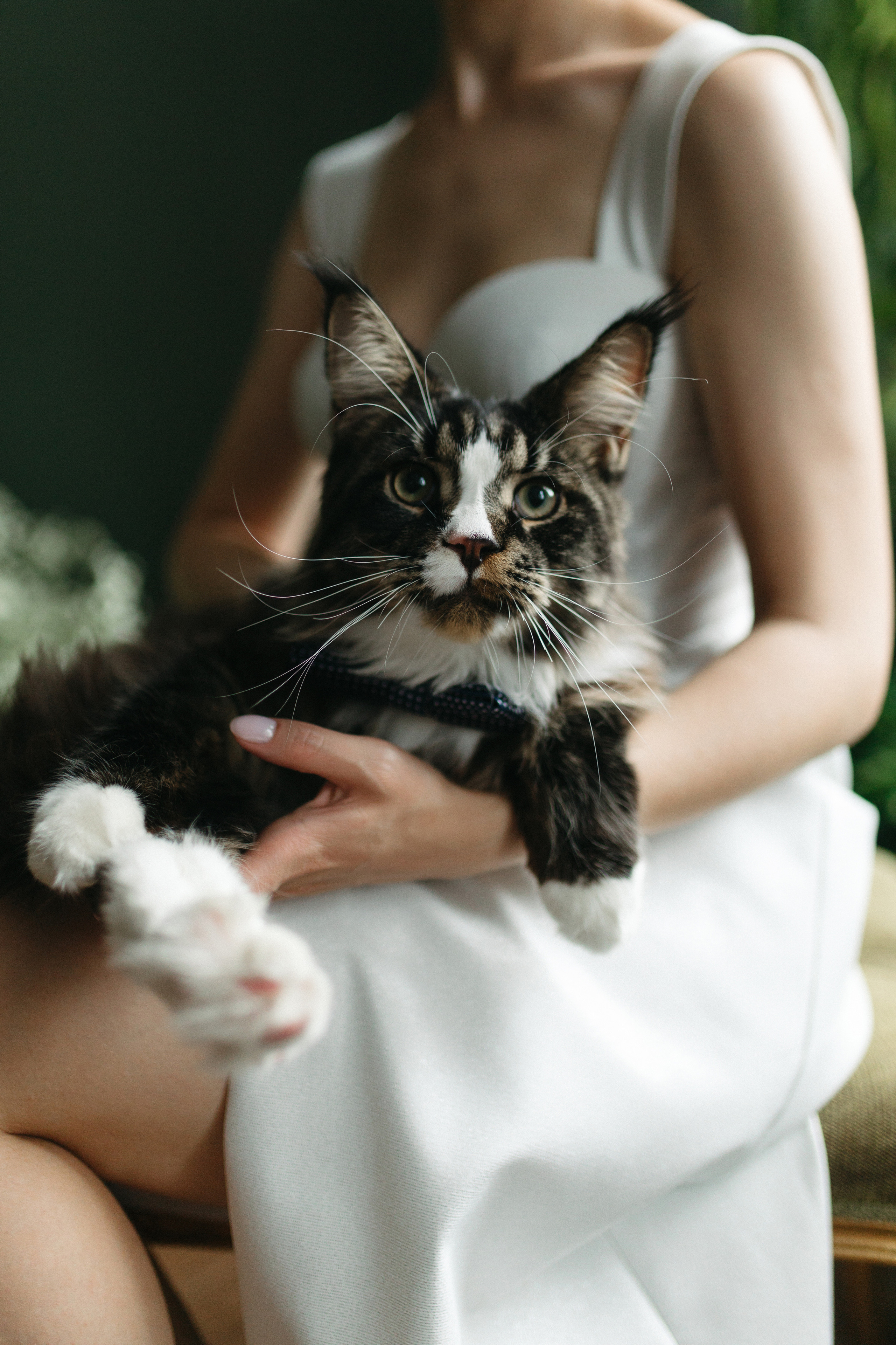 Юра и Кристина 14.07.23. Хорошие фотографии в Красноярске