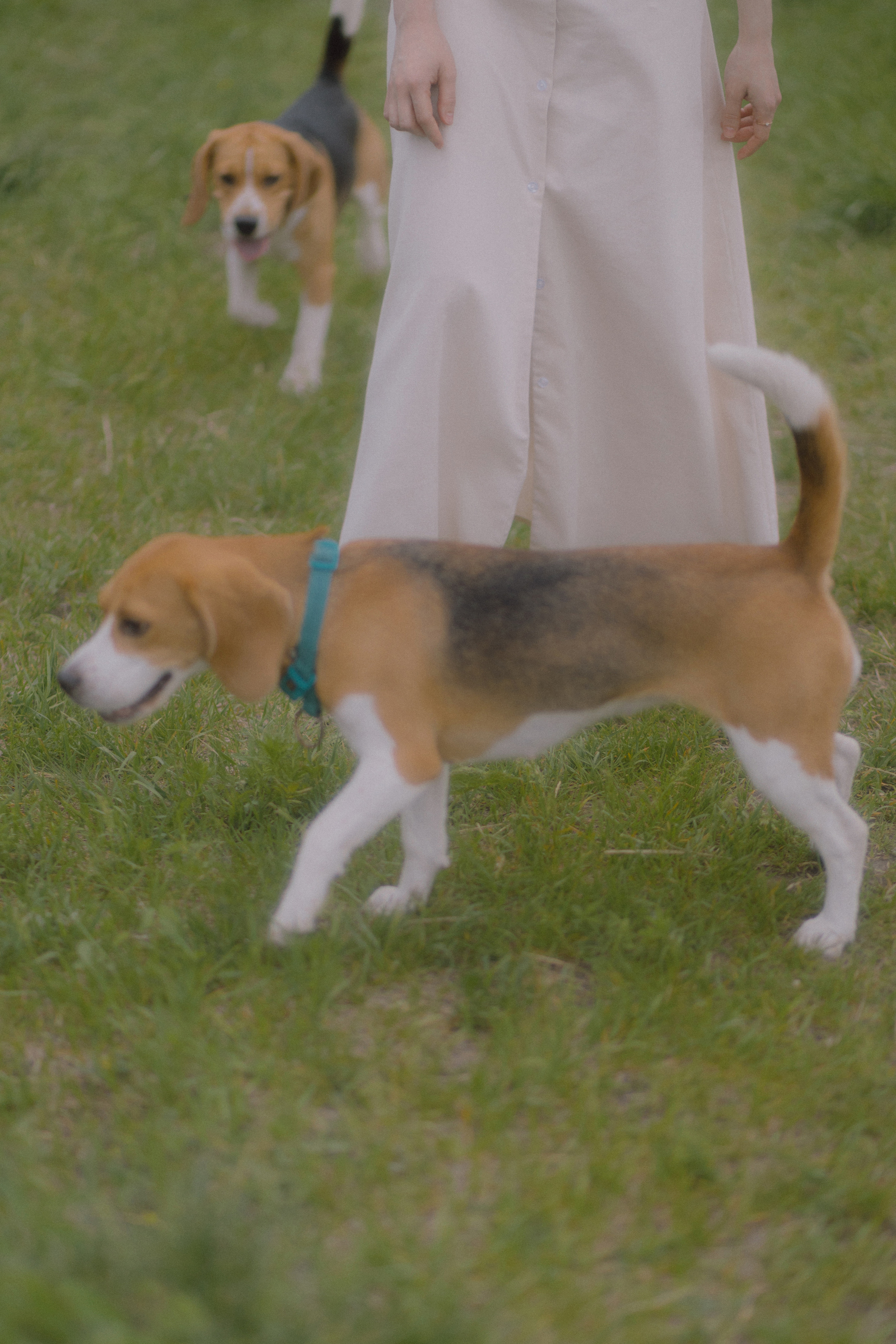 KRISTINA. Хорошие фотографии в Красноярске