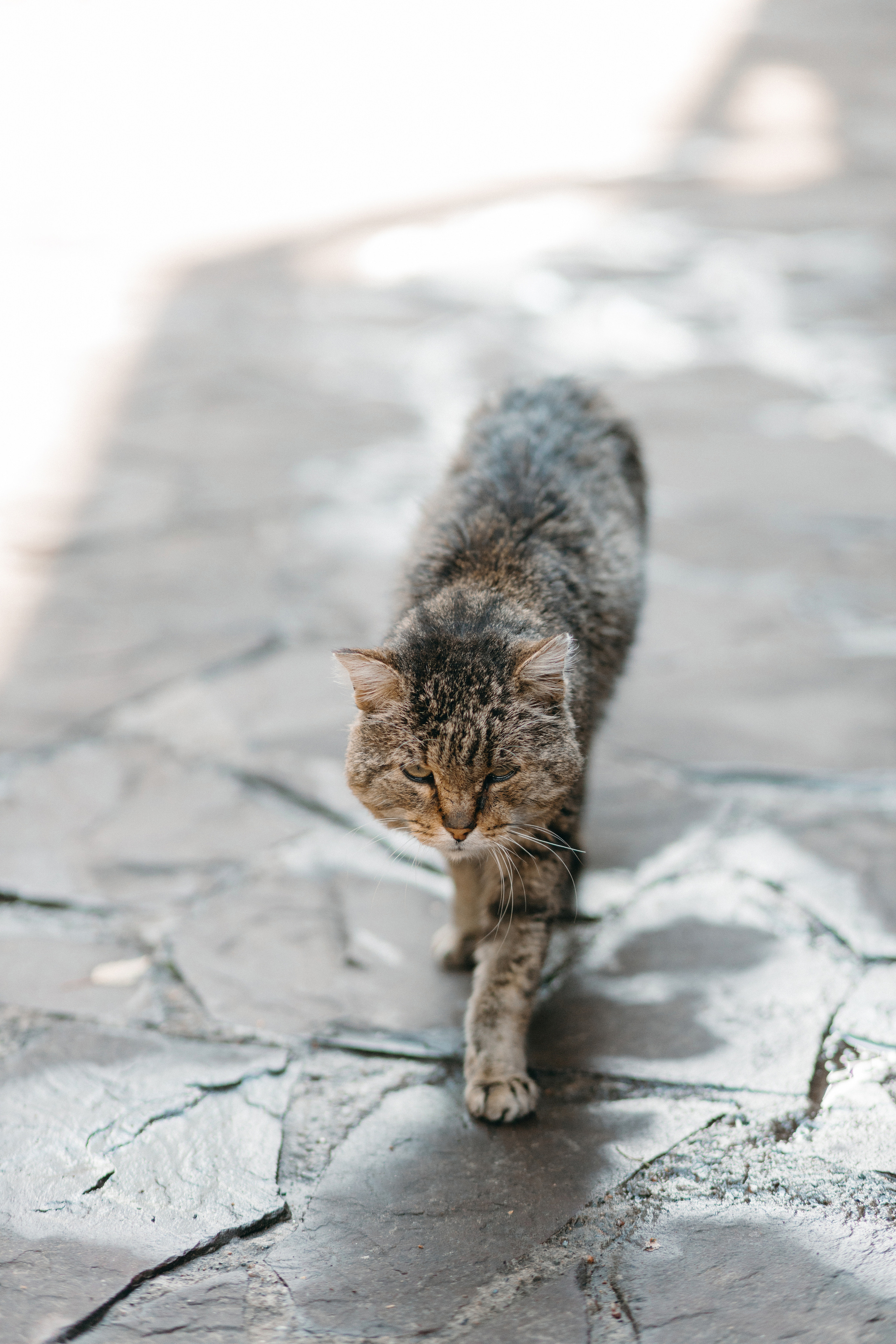 Антон и Кристина 09.07.23. Хорошие фотографии в Красноярске