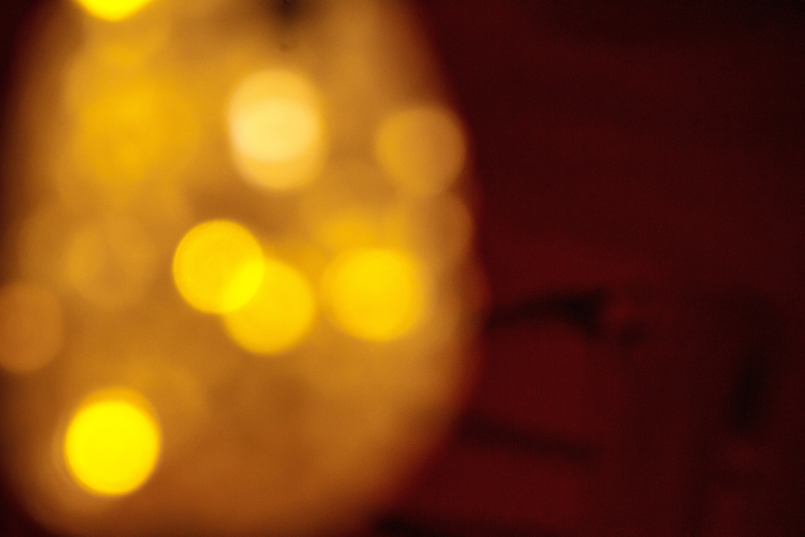 Ночь музеев в Екатеринбургской академии современного искусства2025