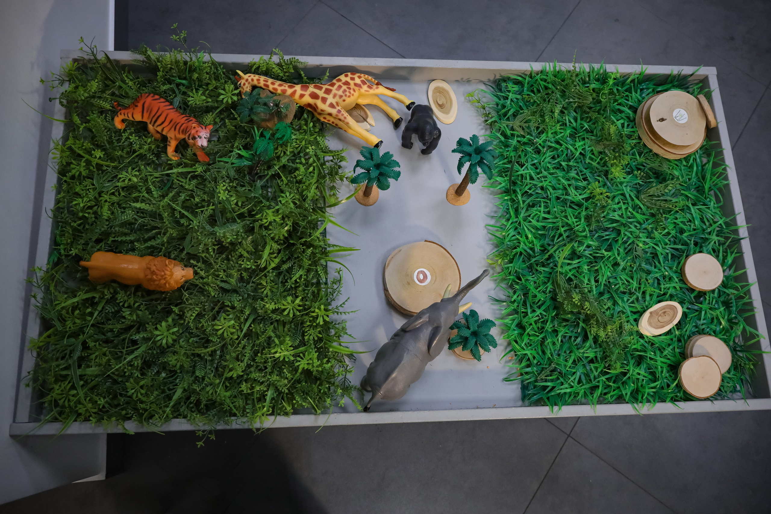 Елена руководитель логопедического центра. Фотограф г. Хабаровск. Семейные и индивидуальные съёмки