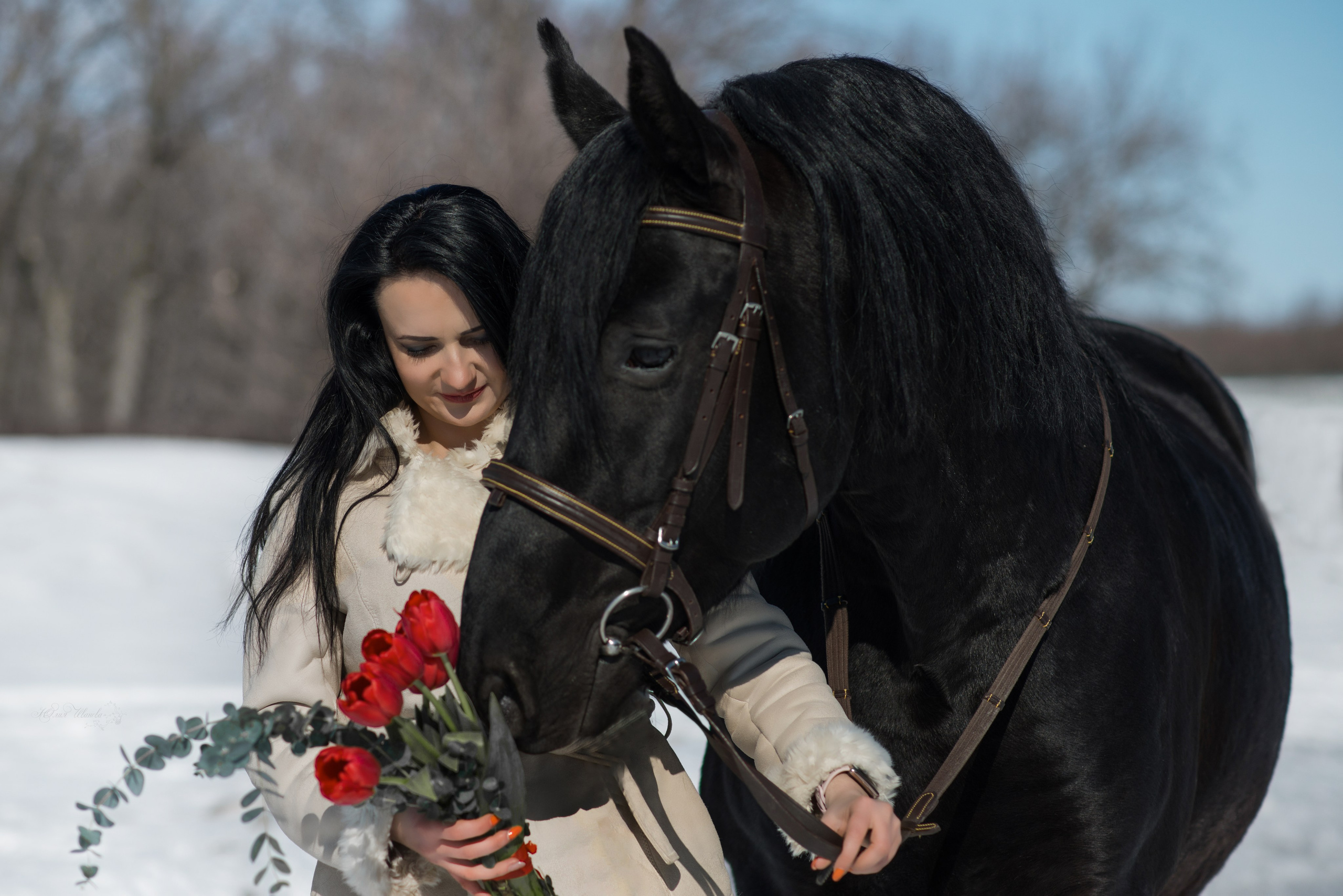 Светлана, Максим и Пират. Конный фотограф в Саратове Юлия Иванова