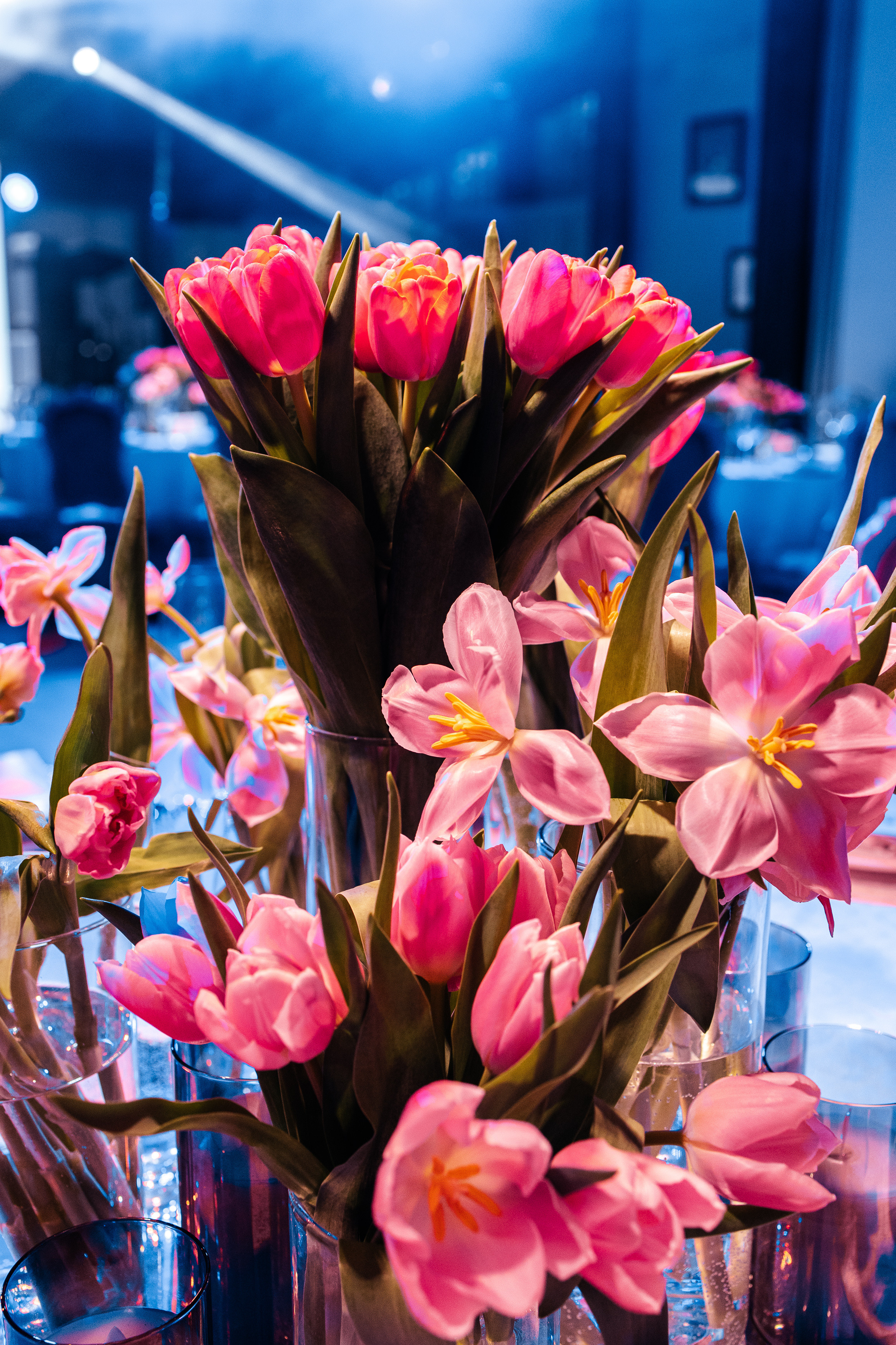 RS WOMEN 23. Фотограф в Москве Алексей Виноградов