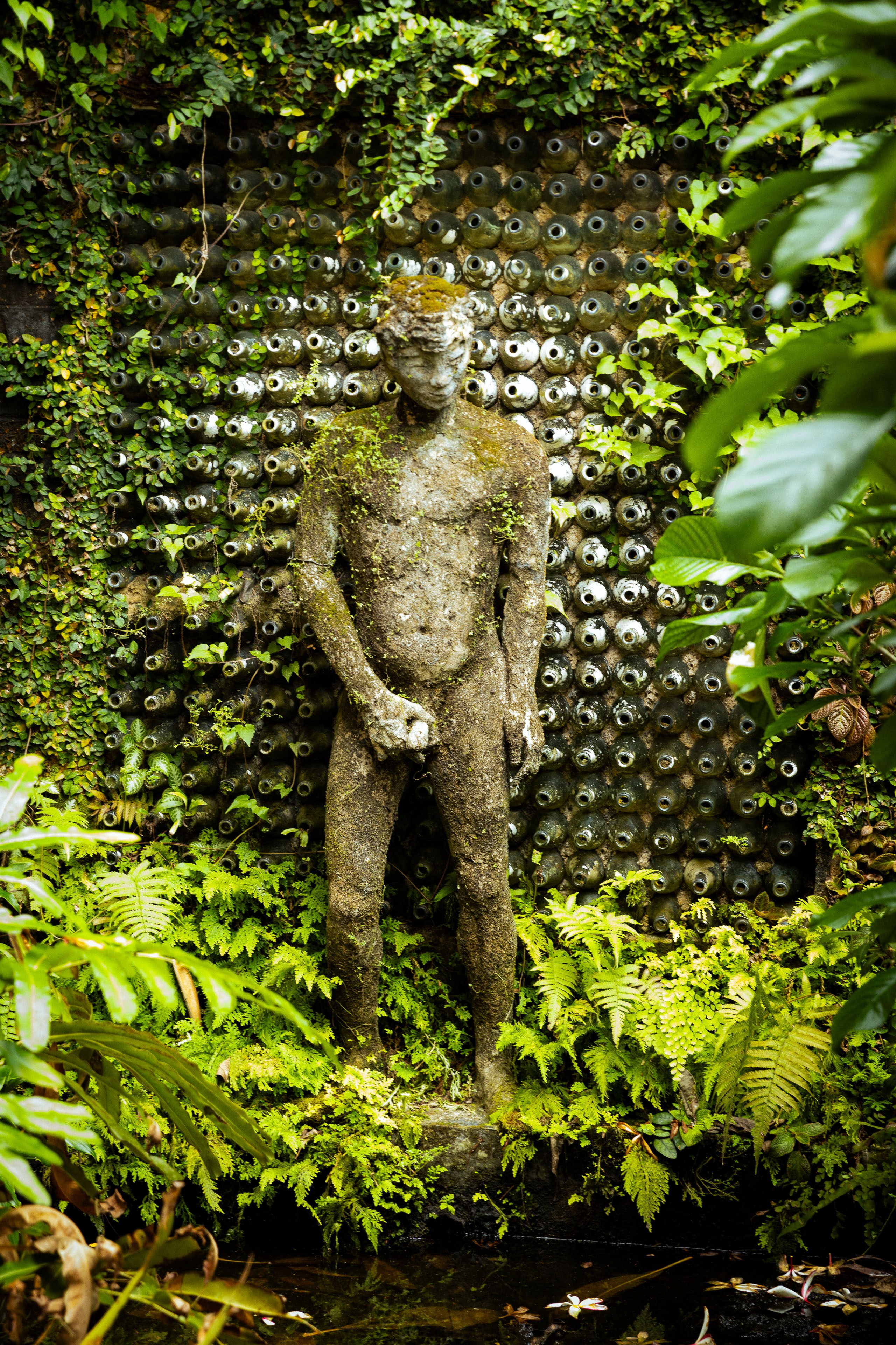 Шри-Ланка (весна 2024). Фотограф Виноградов Константин