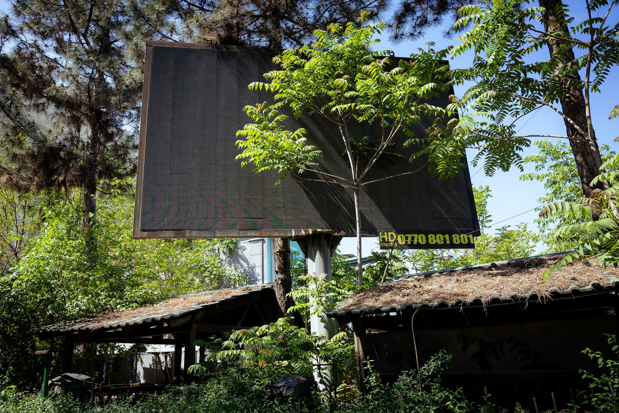 Кыргызстан (весна 2025). Фотограф Виноградов Константин