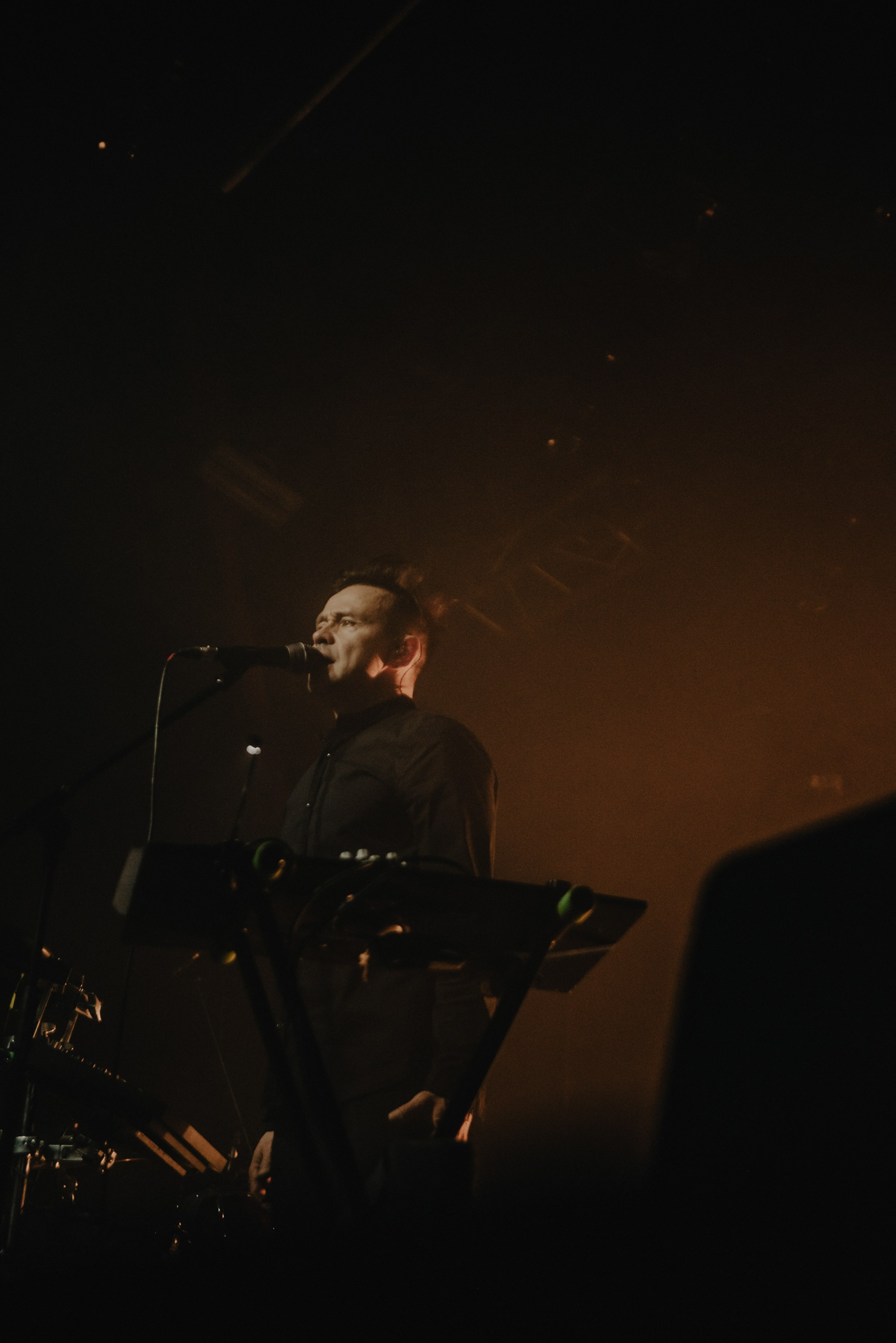 Дельфин | Gaudi. Контент фотограф Илья Урс