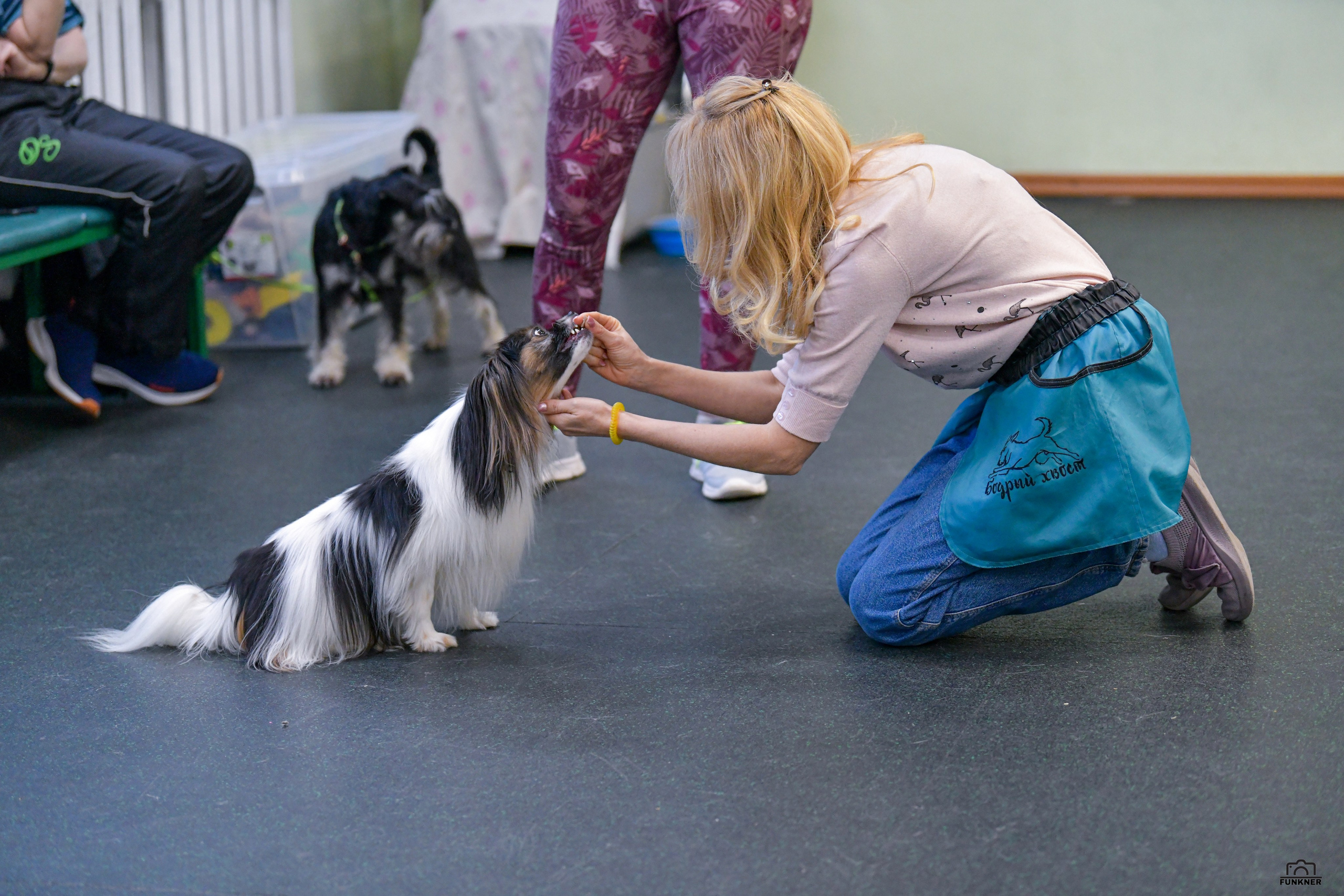 Кинологический клуб «Бодрый хвост». Свой взгляд через объектив