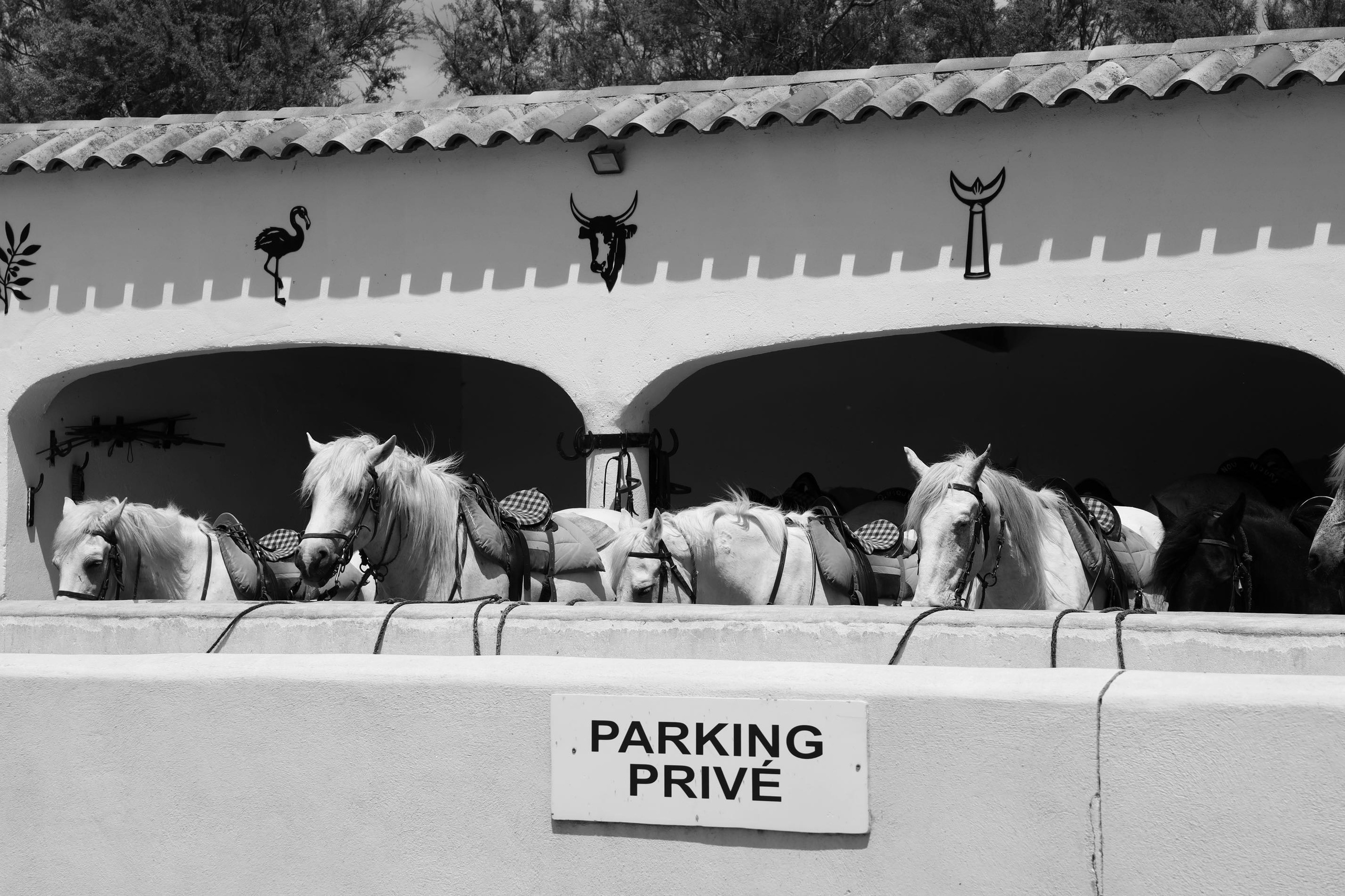 Серия «Почерк Прованса». ANNA PAVLIKOVSKAYA ЧЕРНО-БЕЛАЯ ФОТОГРАФИЯ — ЭТО Я