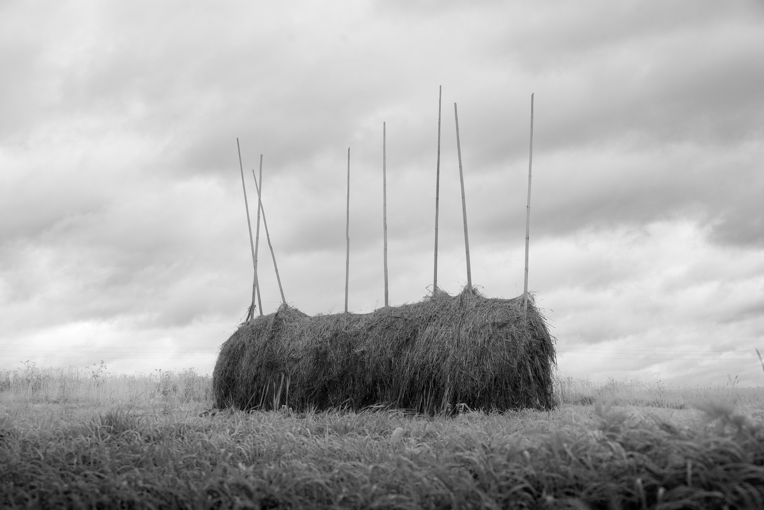 Деревня / Север I. Фотограф Антон Денисенко: Портрет, Документалистика, Пейзаж. Москва