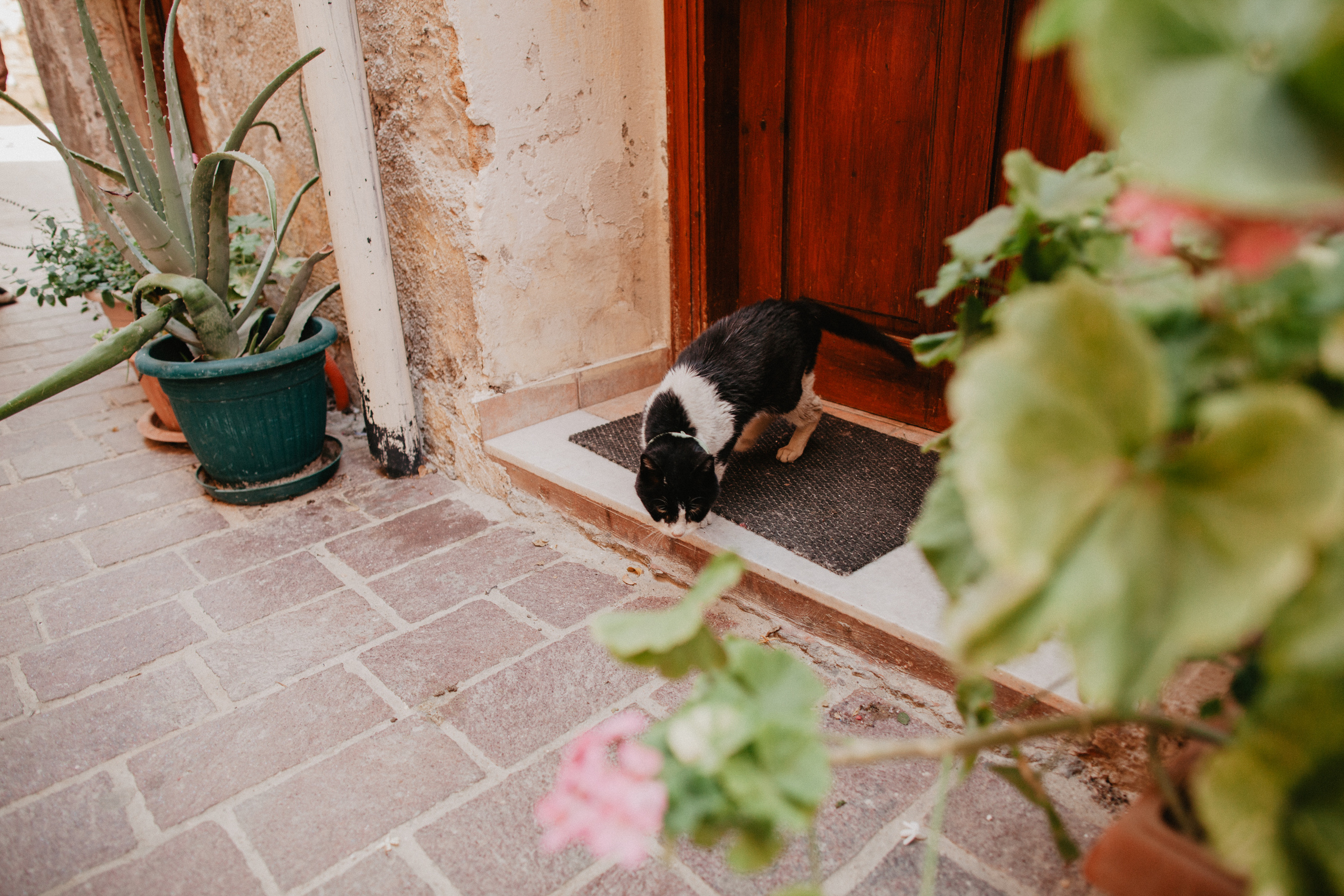 Тоска по Греции, о.Крит Ханья. Свадебный и семейный фотограф Тюмень Ева Рейман