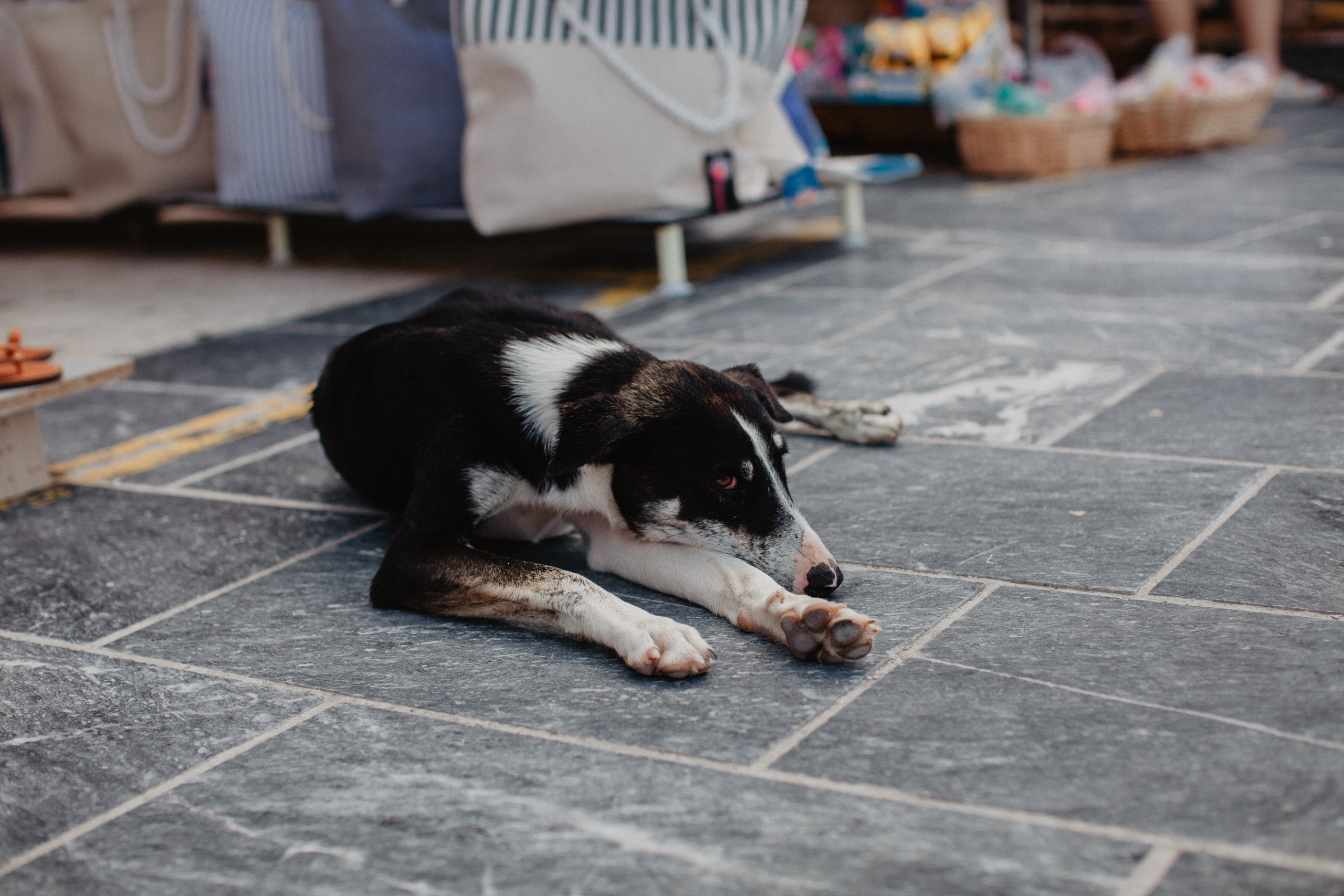 Тоска по Греции, о.Крит Ханья. Свадебный и семейный фотограф Тюмень Ева Рейман