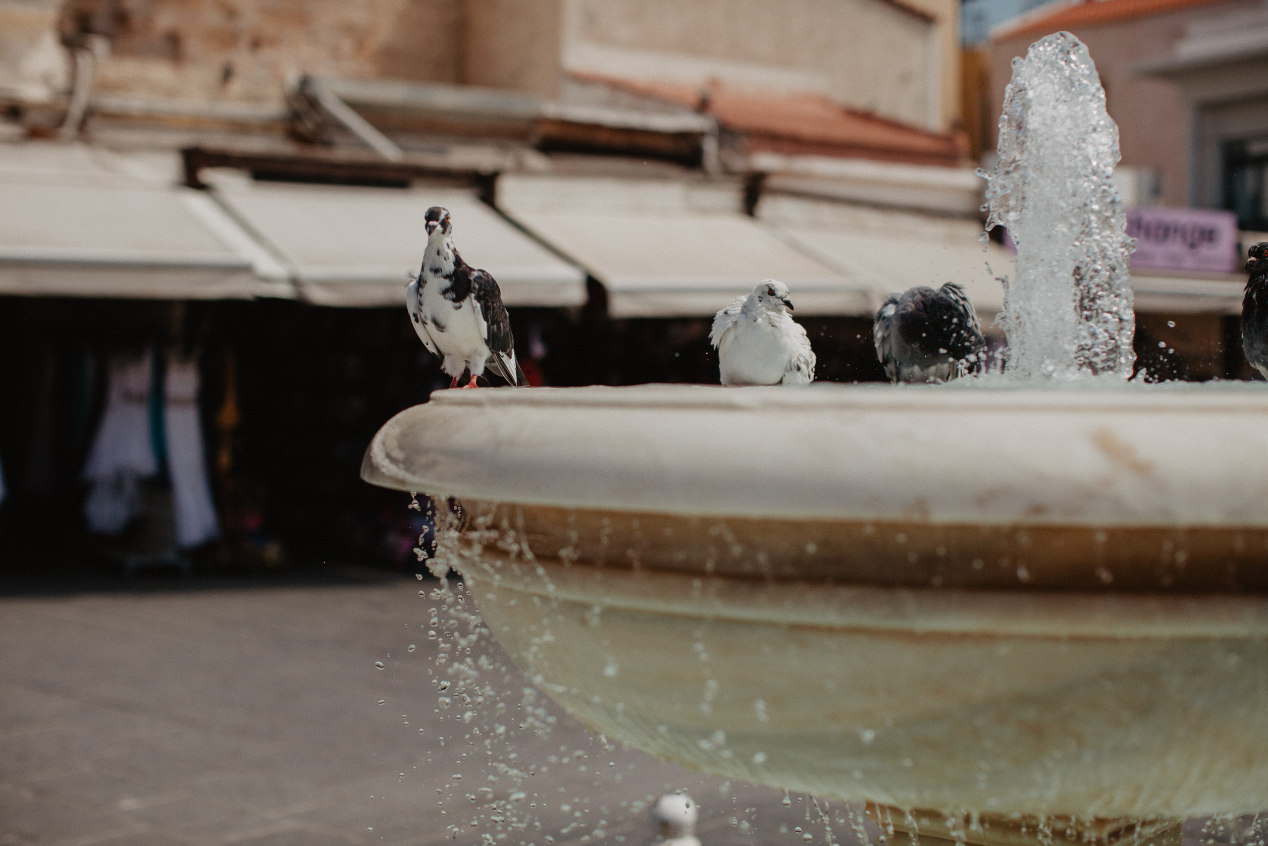 Тоска по Греции, о.Крит Ханья. Свадебный и семейный фотограф Тюмень Ева Рейман