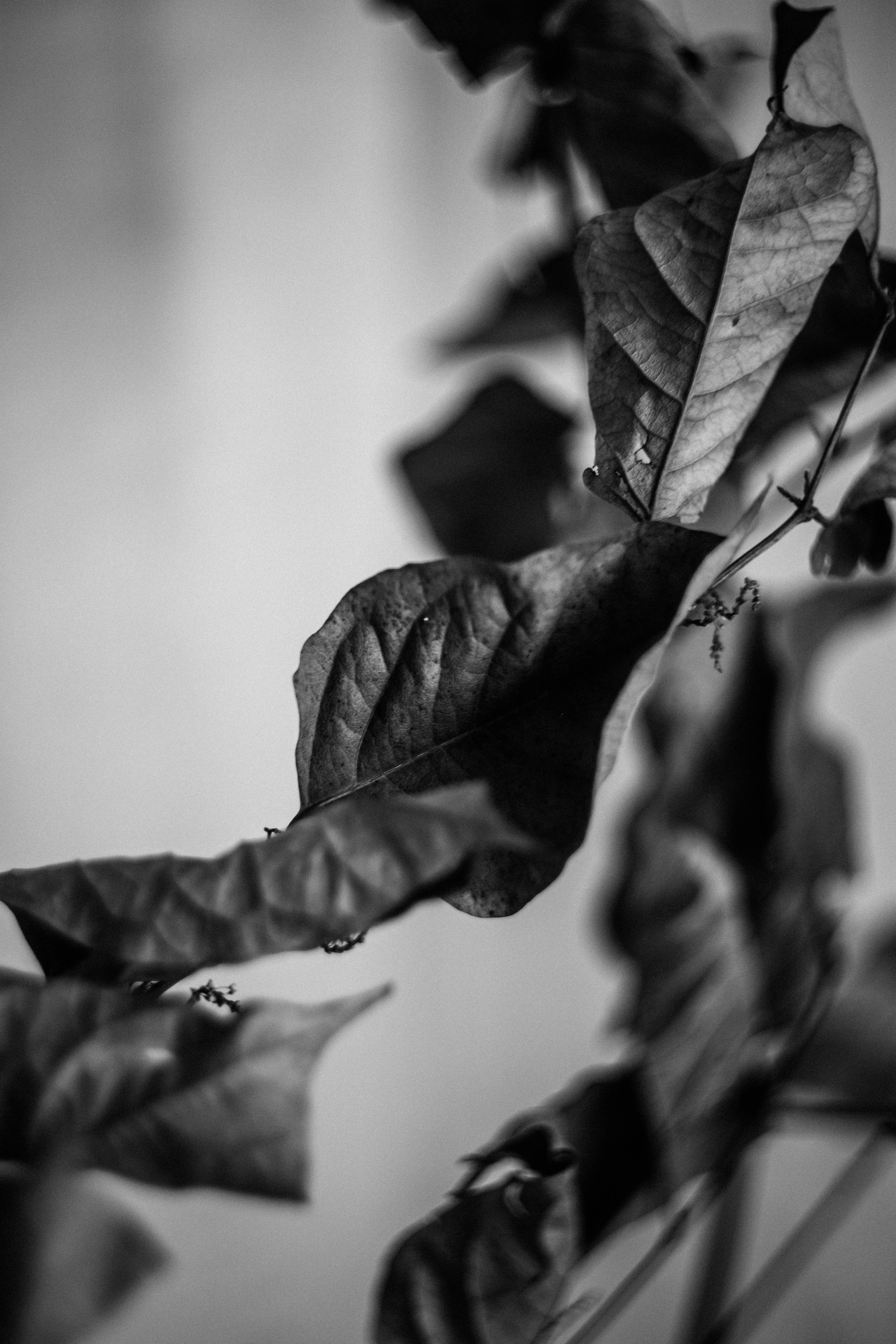 ДОМАшняя фотостудия. Фотограф в Нижнем Новгороде