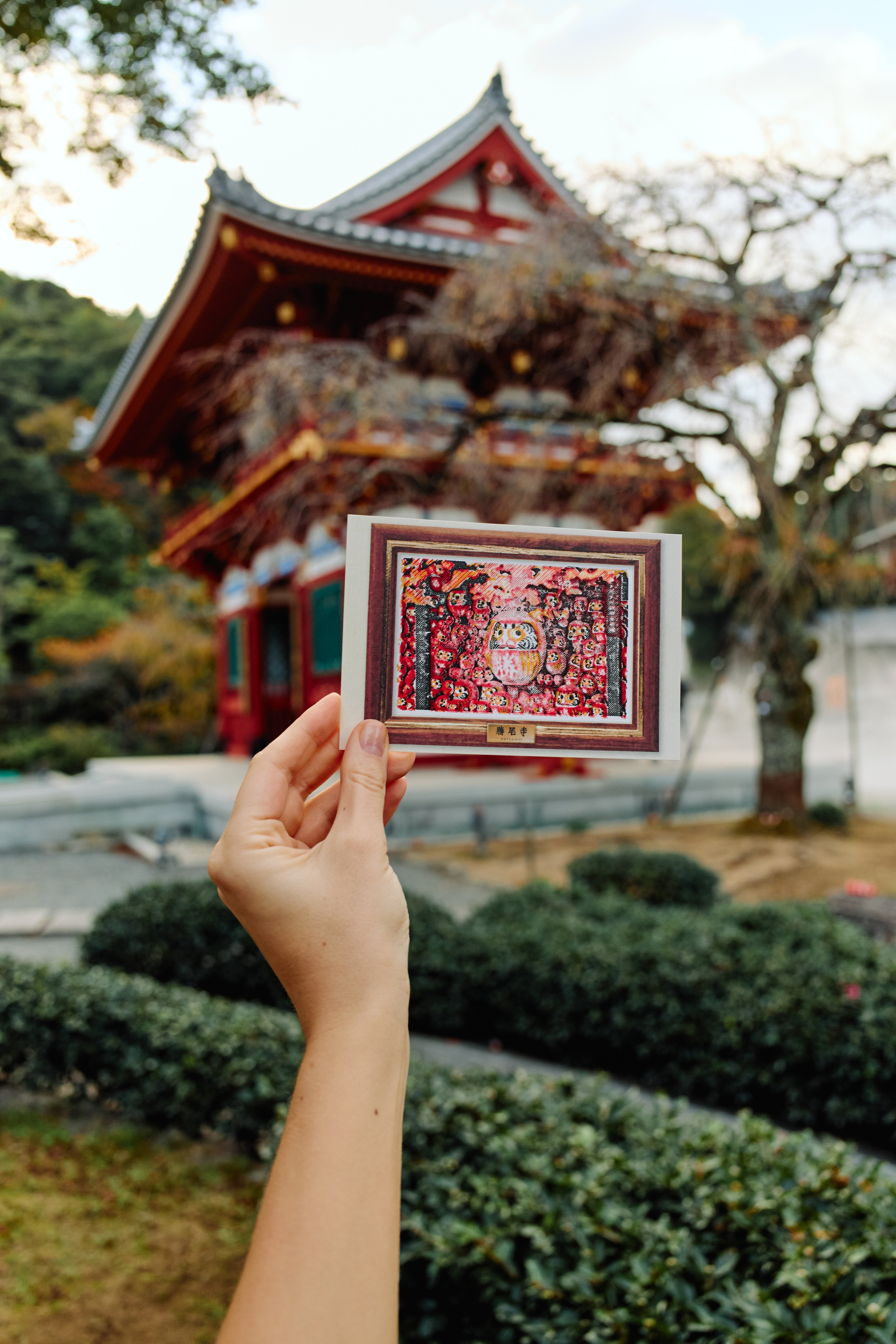 Япония. Профессиональный Фотограф во Владимире, в Москве и в Суздале — Полина Романычева