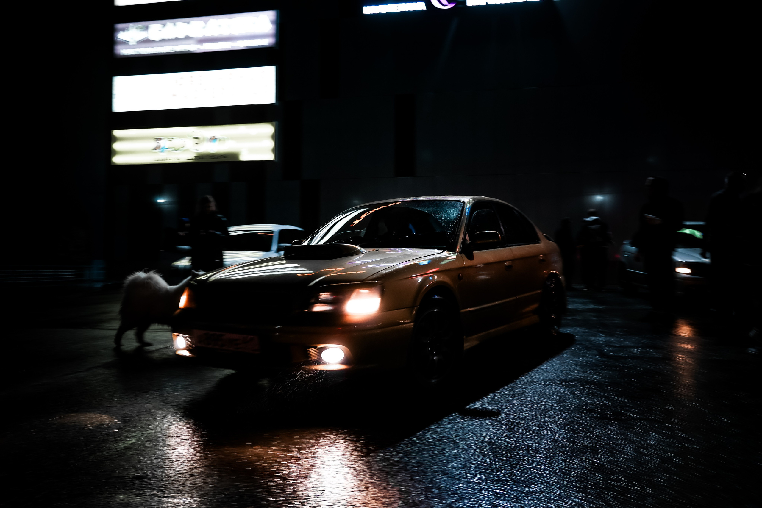 Портфолио Гончаренко Павел. Ма, я фотю📸