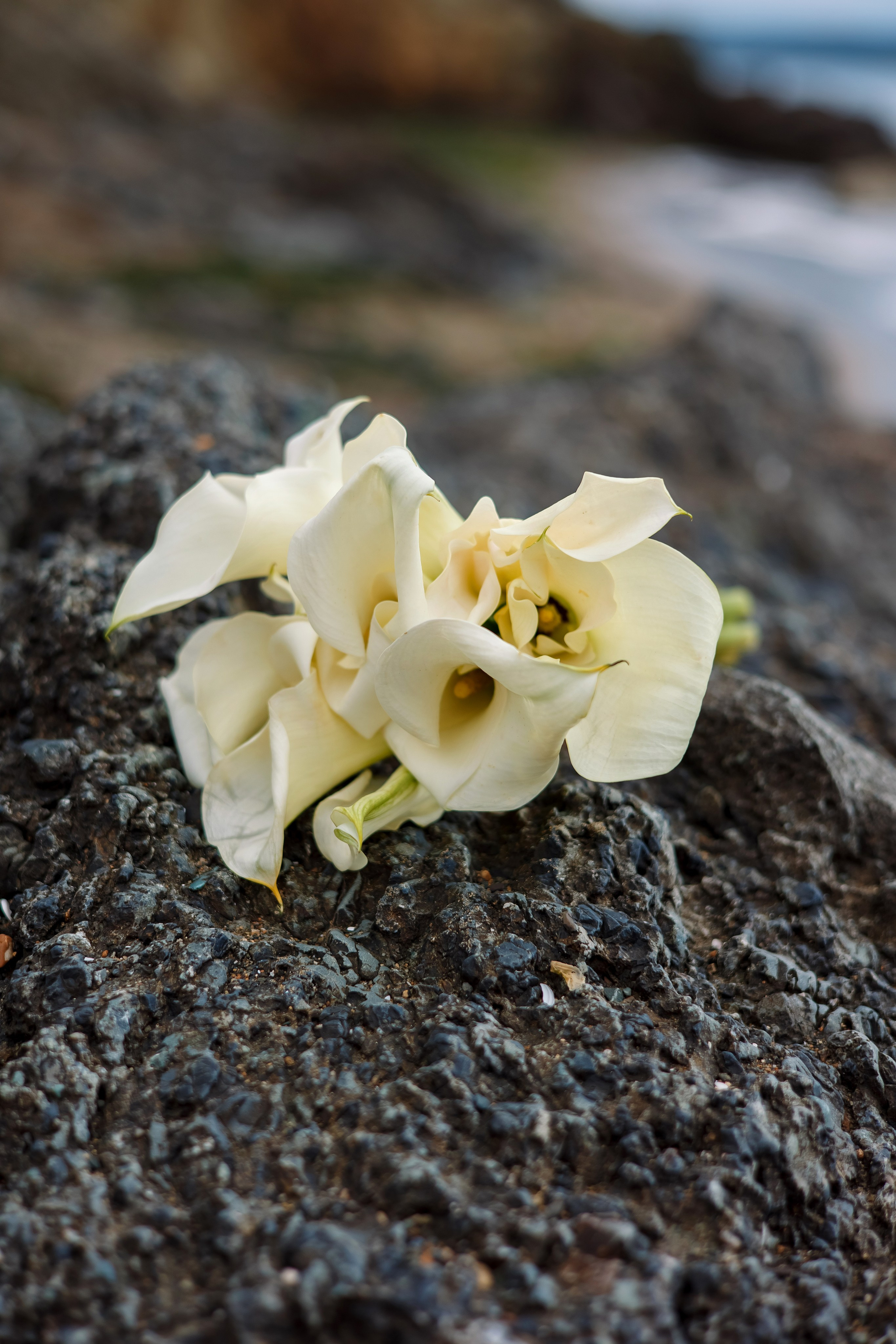 Наталья & Алексей. Фотограф Любовь Корниенко, Примоский край