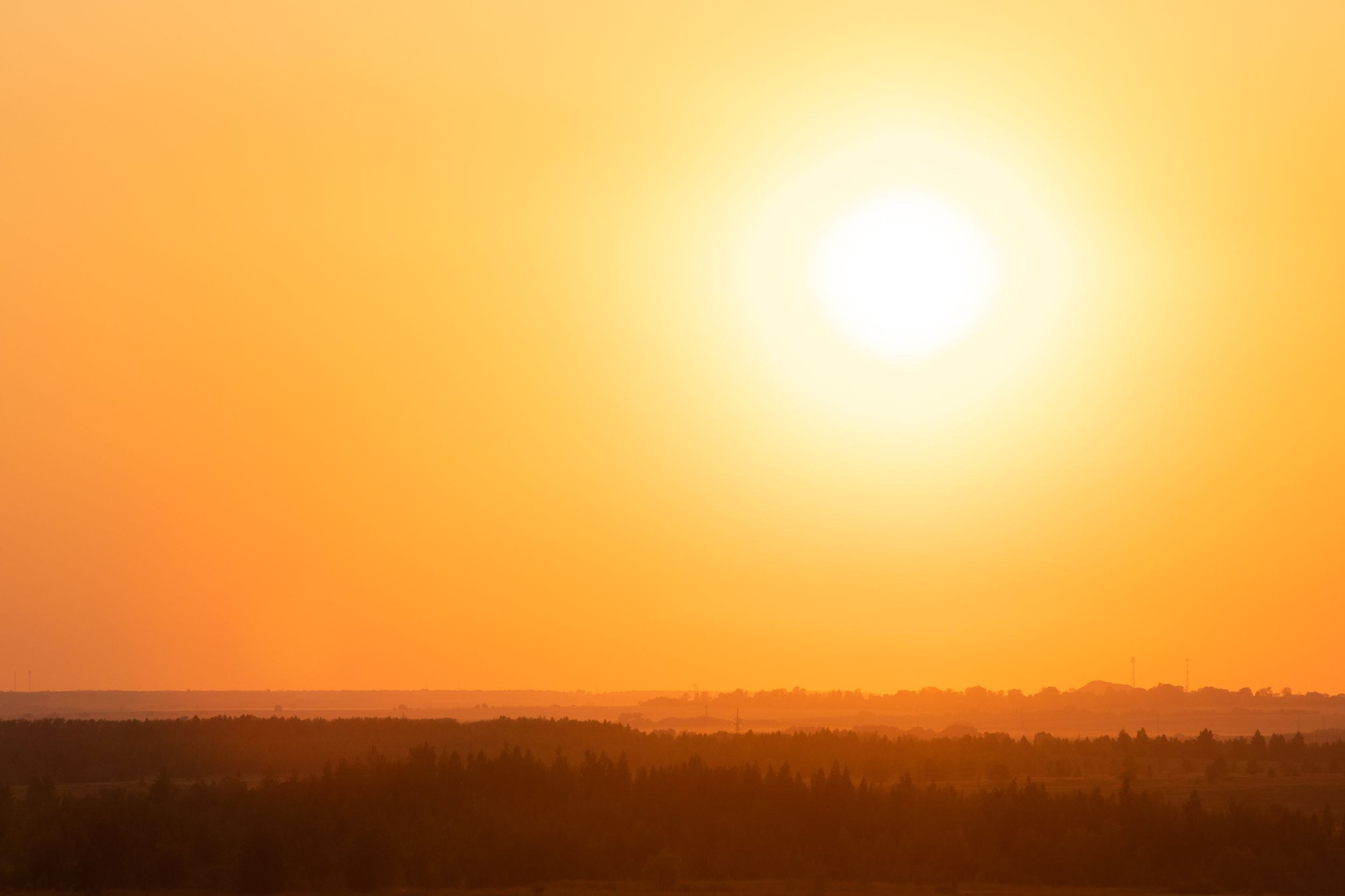 Кондуки (10 июля 2021). Репортажный фотограф Алексей Пирязев