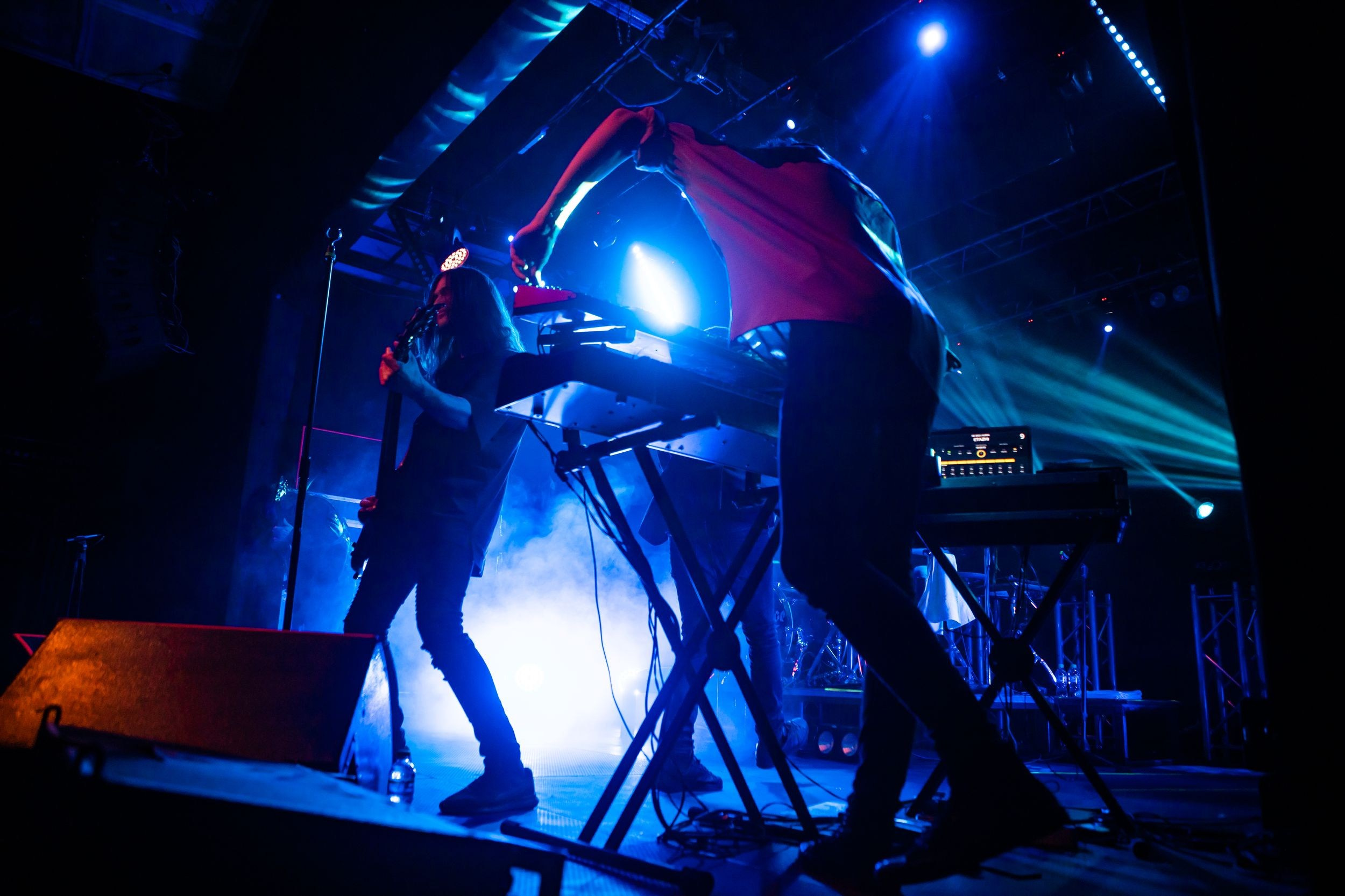 Animal ДжаZ. Репортажный фотограф Алексей Пирязев